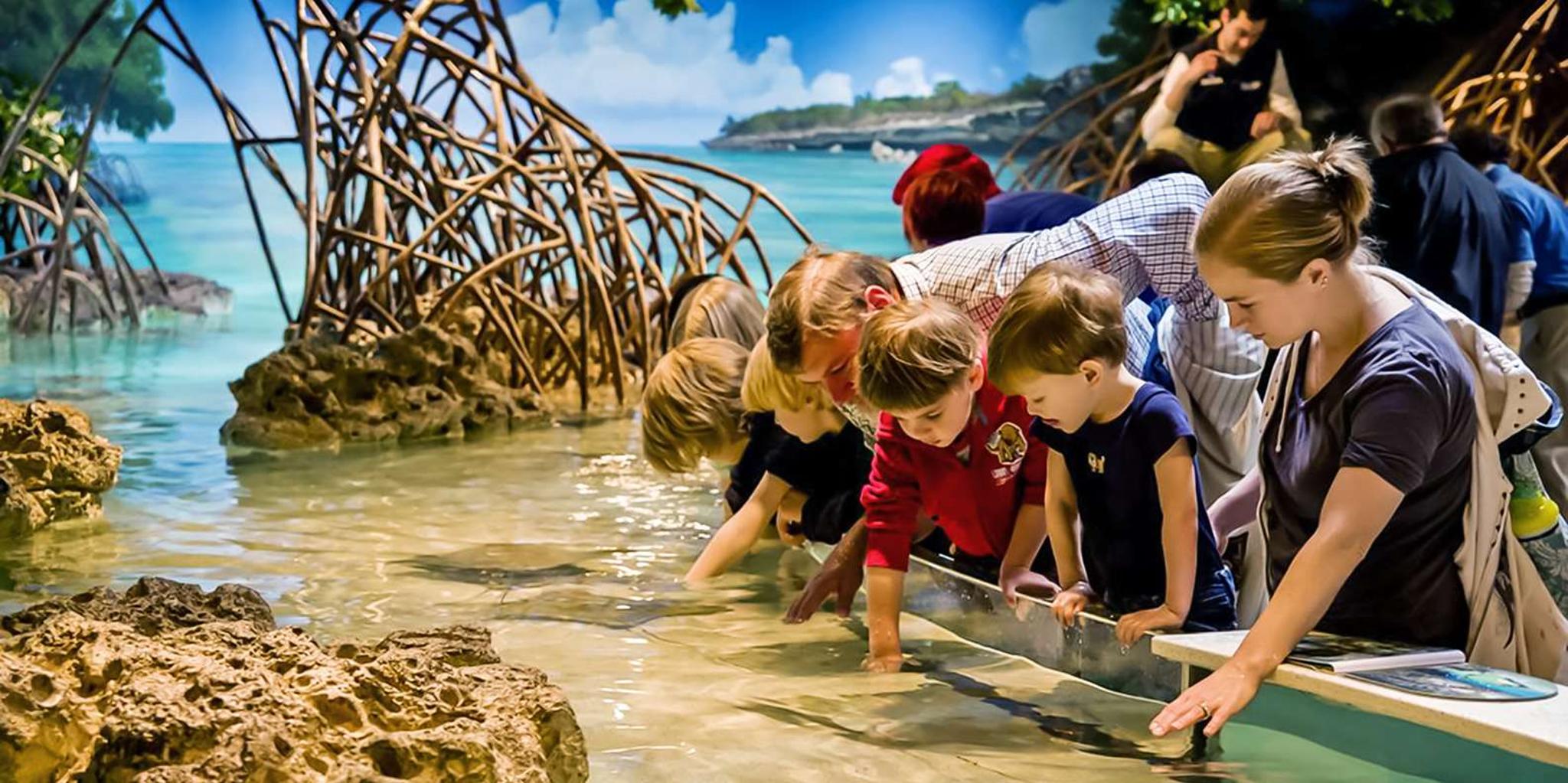 Boston New England Aquarium Tour 1 hr - Image 5