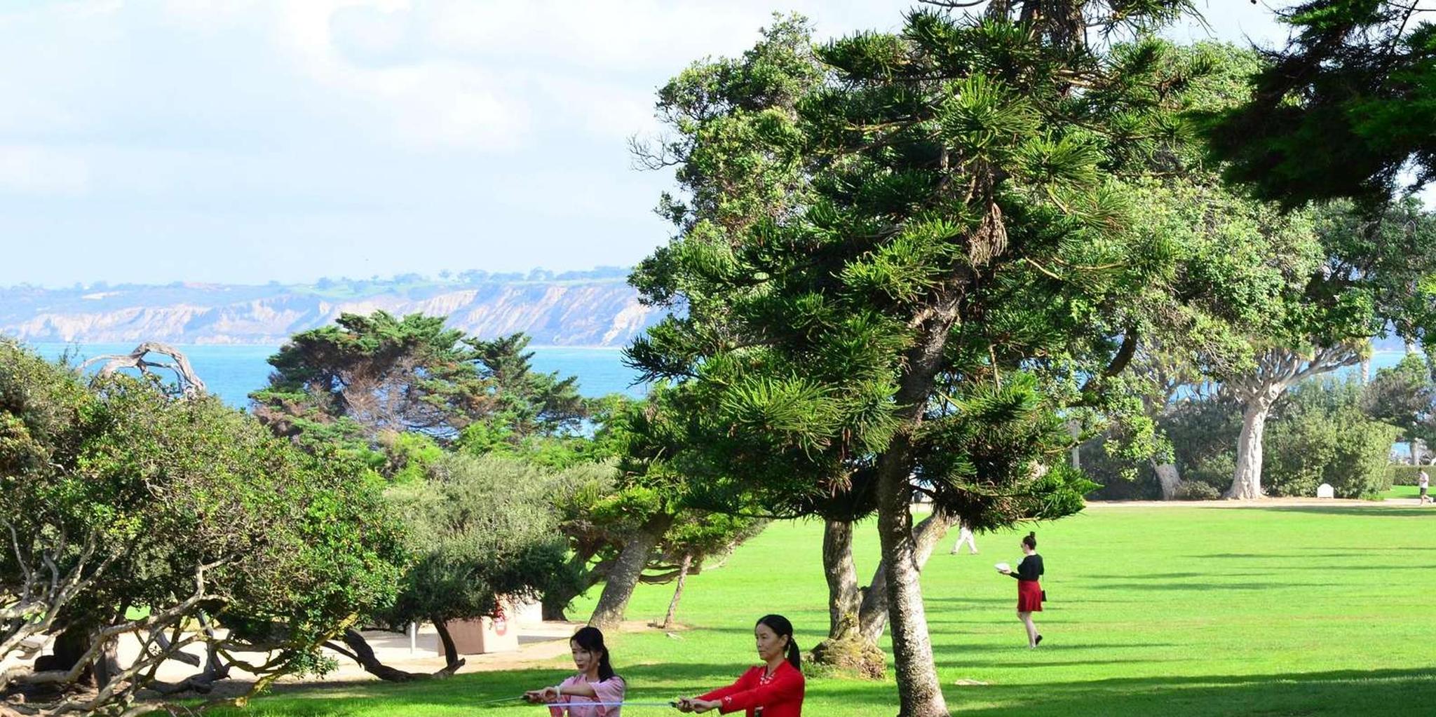 La Jolla Hidden Treasures Self-Guided Walking Tour - Image 2