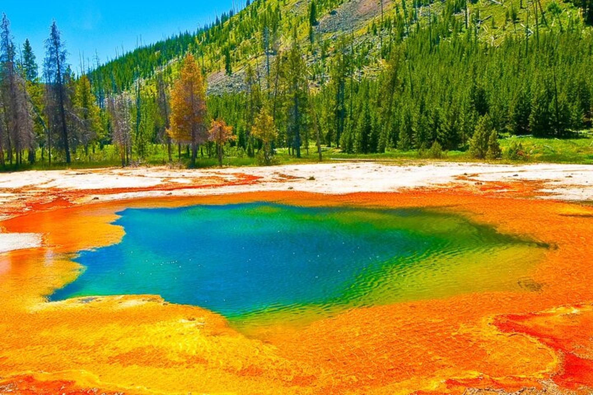 Yellowstone Hot Spring & Geyser Basin Tour - Image 2
