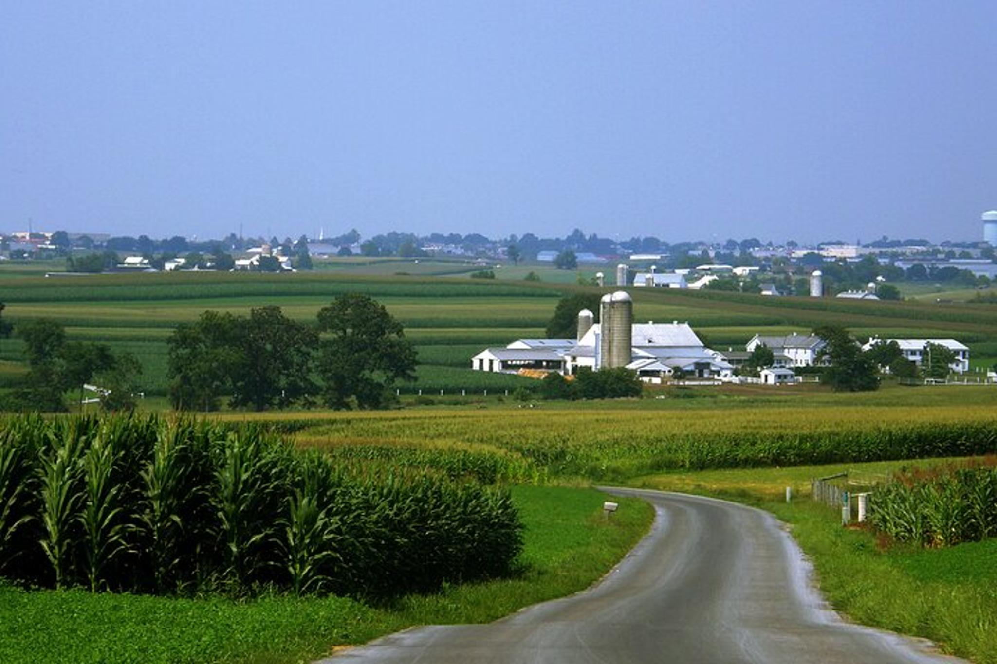 Lancaster Amish Home Meal Experience - Image 6
