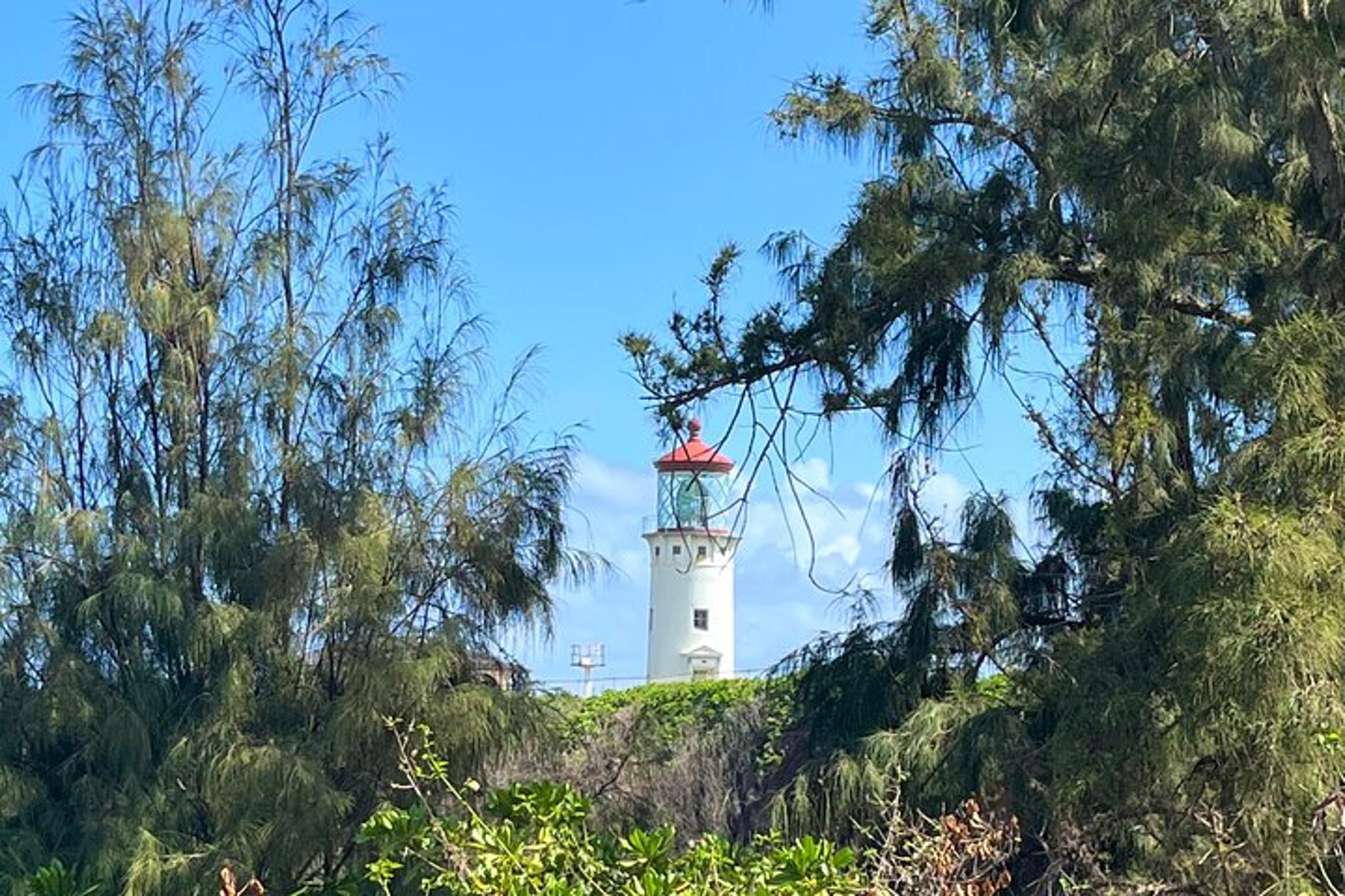Kauai Private Guided Tour to Northshore - Image 6
