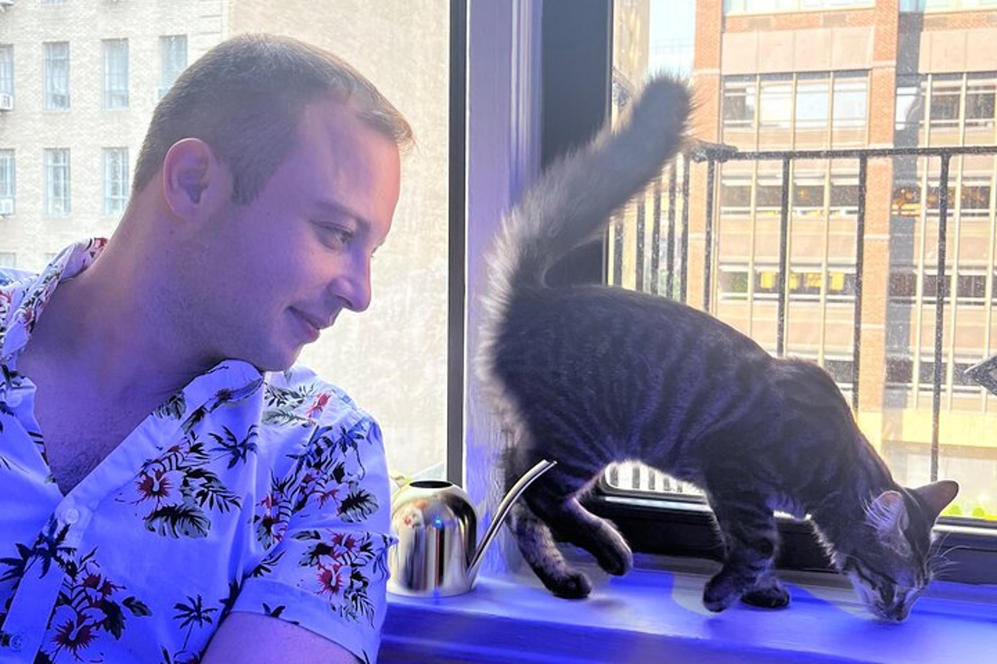 New York Terrarium Making Experience with Cats 2 hr - Image 4