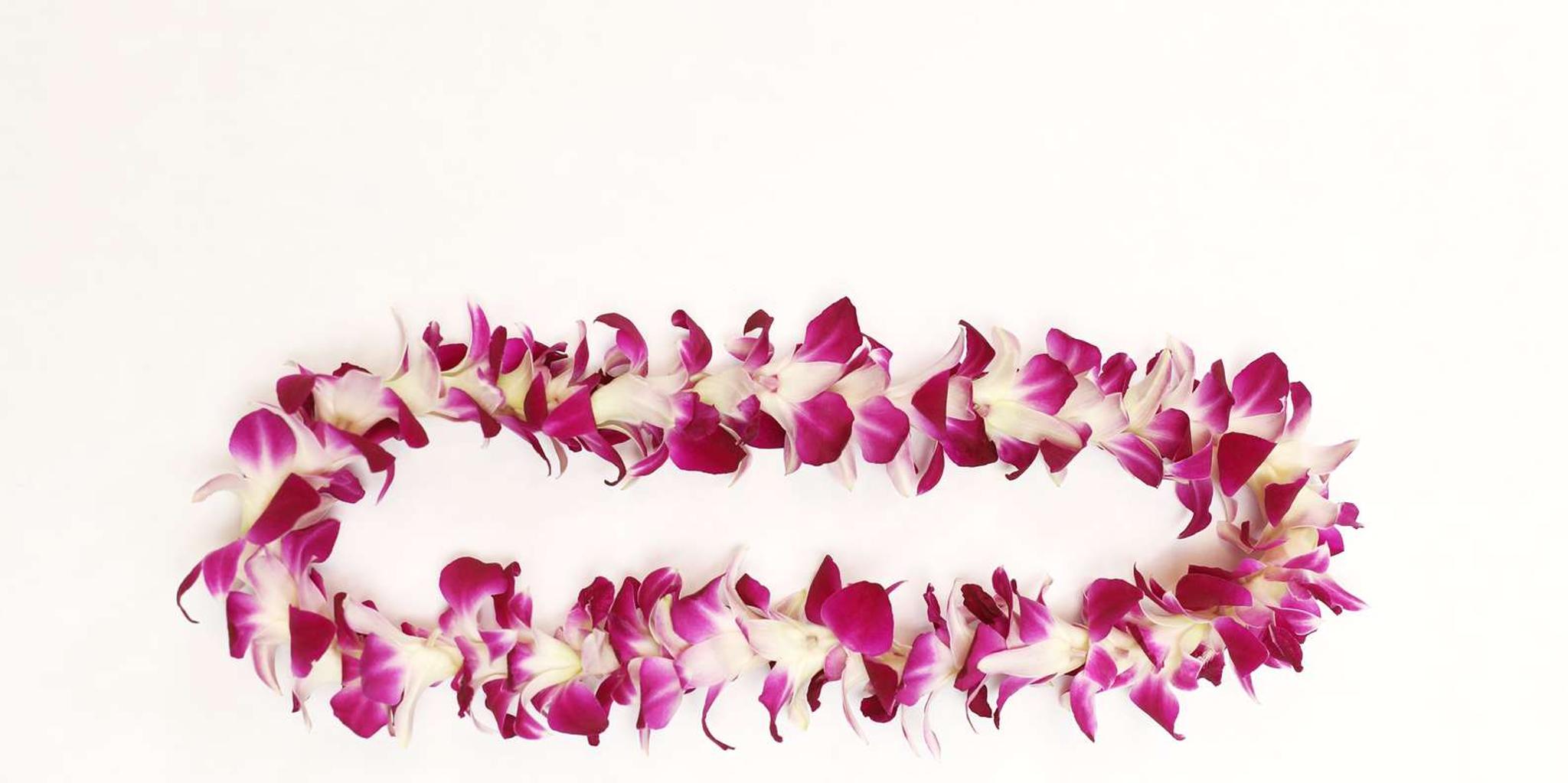 Maui Orchid Lei Greeting at Kahului Airport