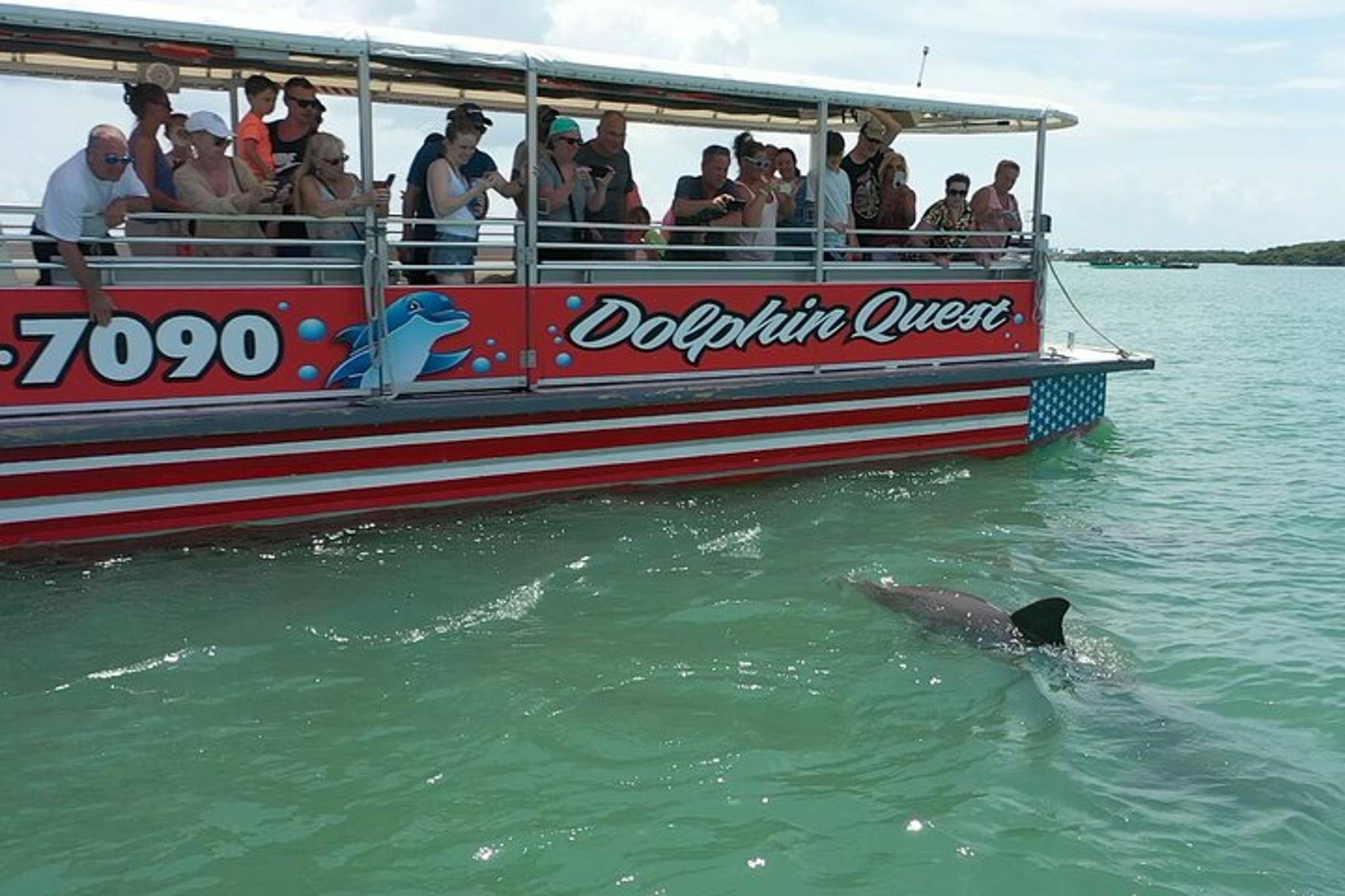 Madeira Beach Dolphin Watching Eco Cruise 90 min - Image 2