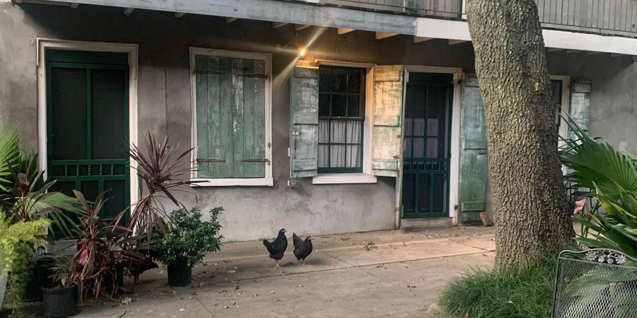 New Orleans French Quarter Supernatural Ghost Hunt - Image 6