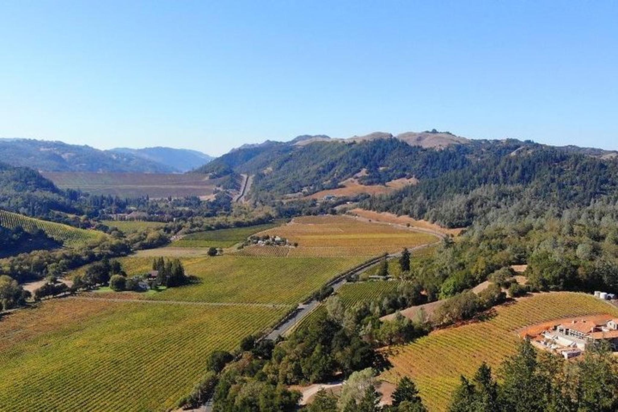 San Francisco Russian River Valley Wine Tour - Image 3