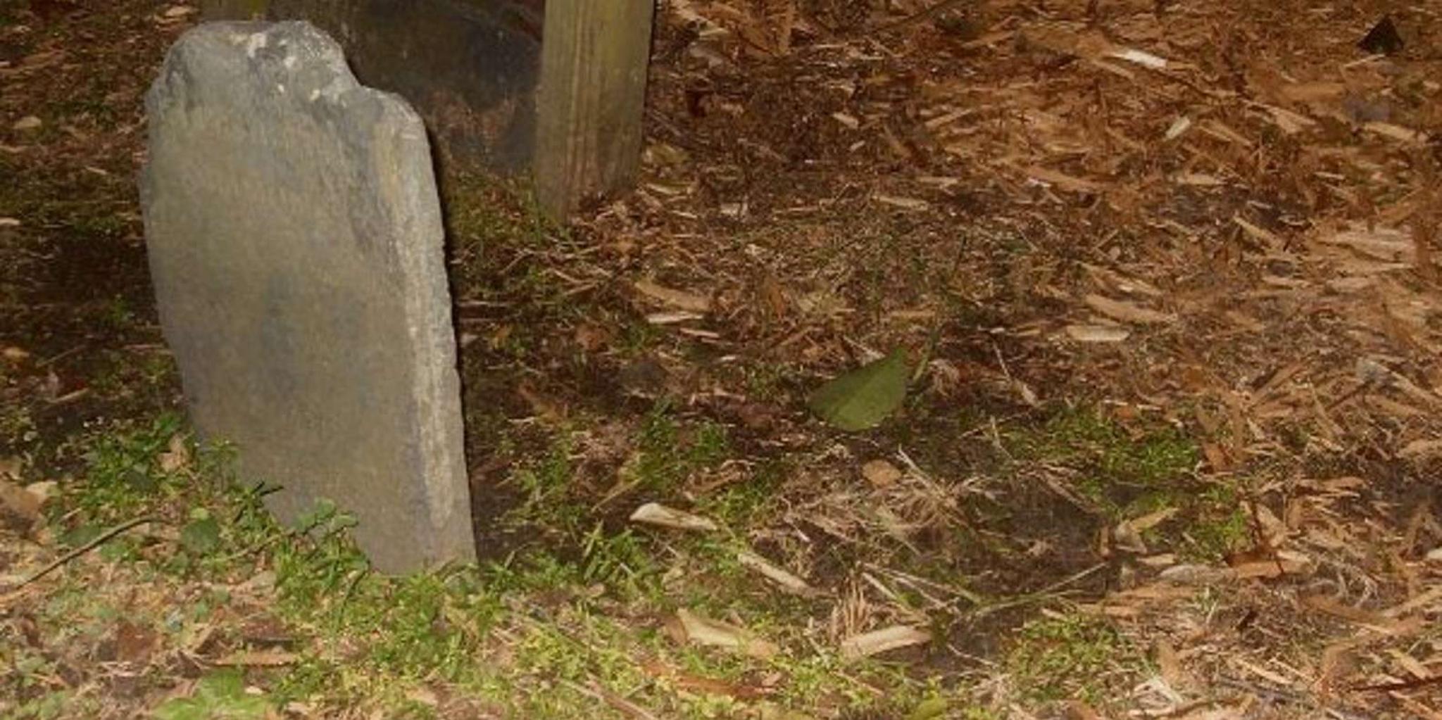 Charleston Ghost and Graveyard Walking Tour - Image 2