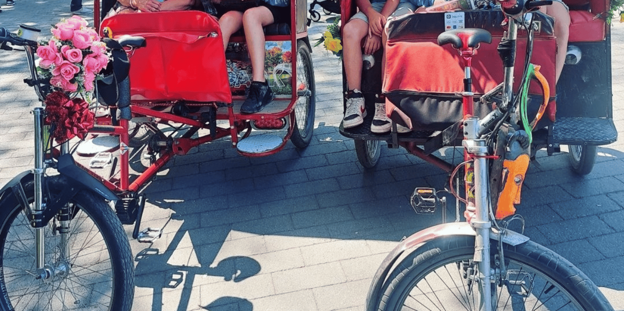 New York Central Park Pedicab Tour - Image 2