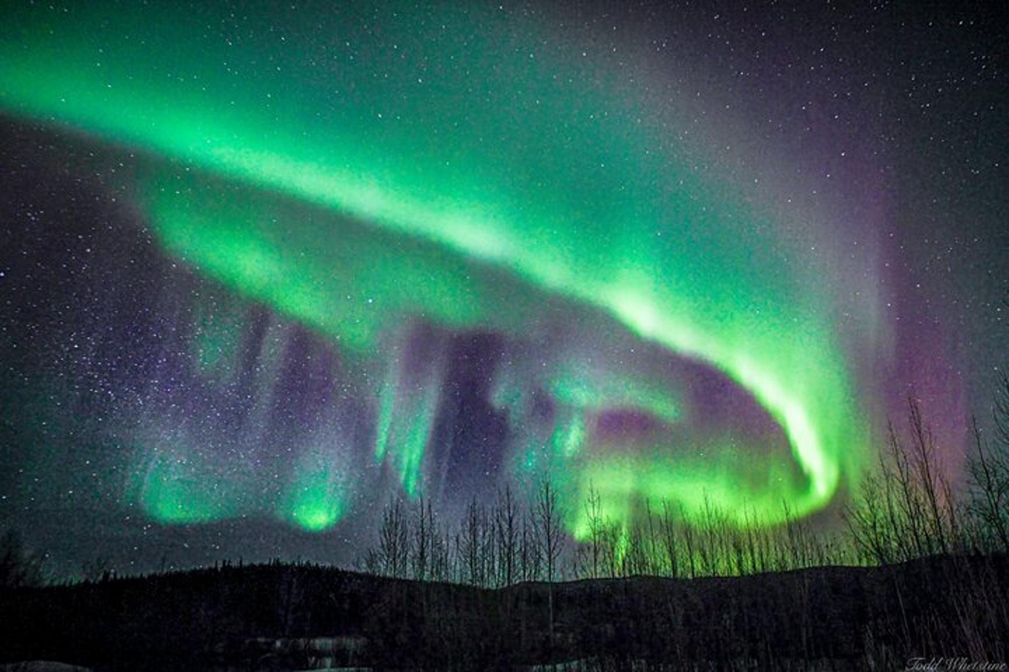 Fairbanks Northern Lights Photo Workshop - Image 2
