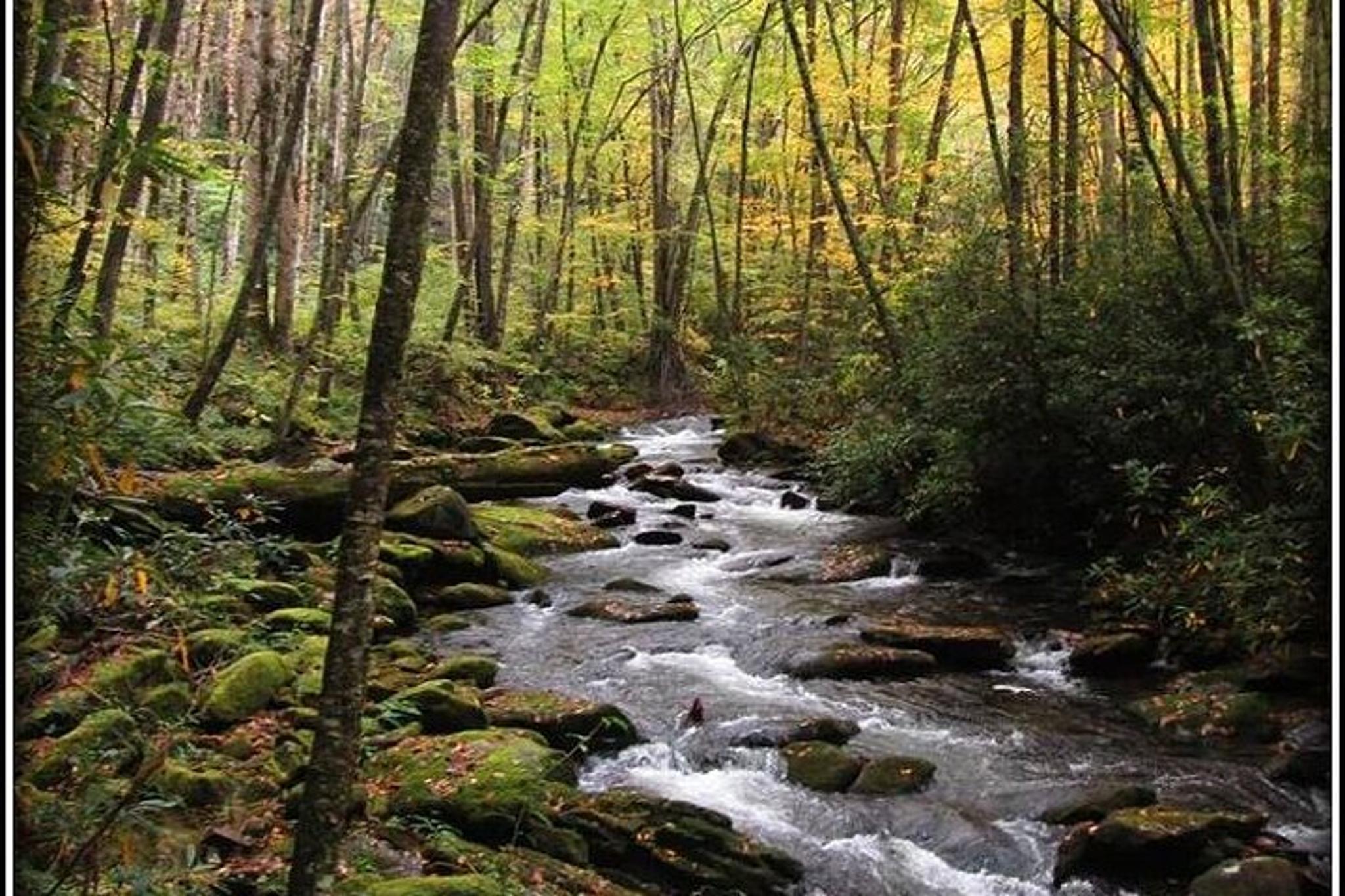 Great Smoky Mountains Historic River Tour - Image 2