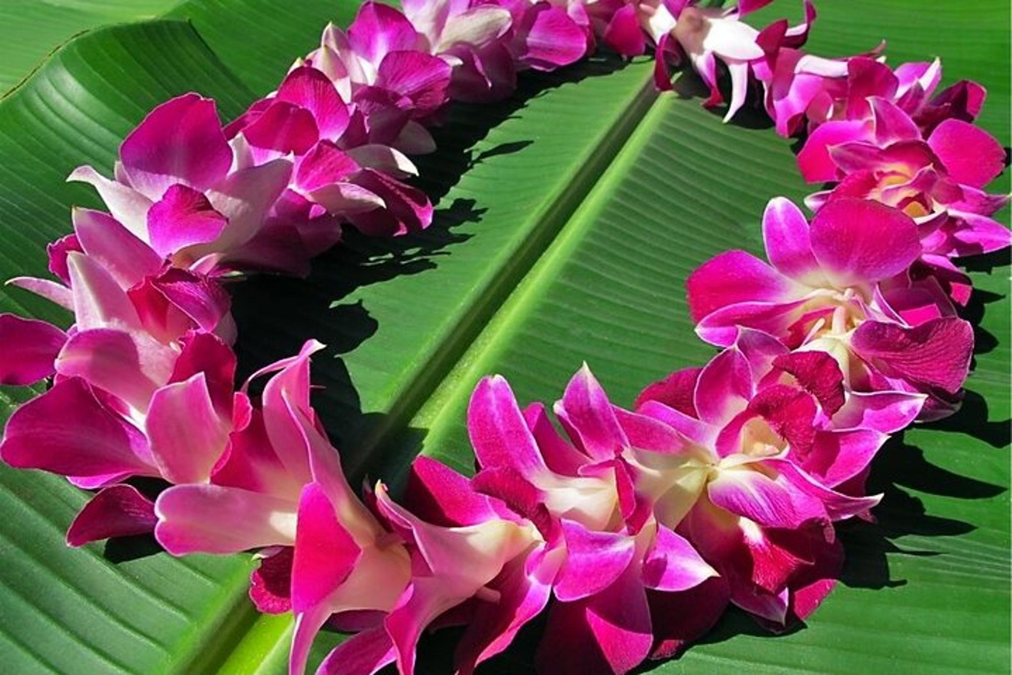 Big Island Private Airport Transfer - Image 3