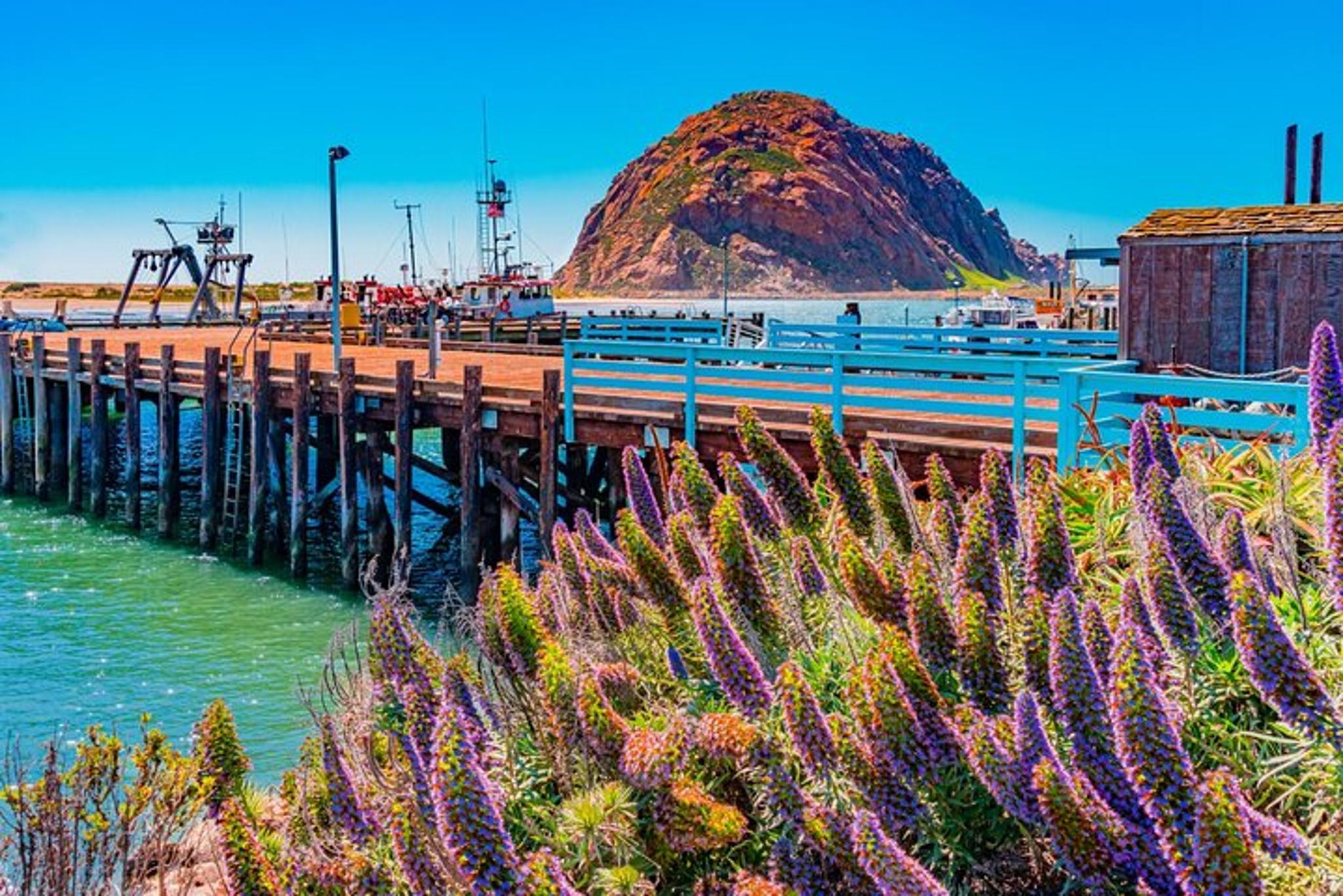 Morro Bay Private Stroll & Savory Delights Tour 2 hr