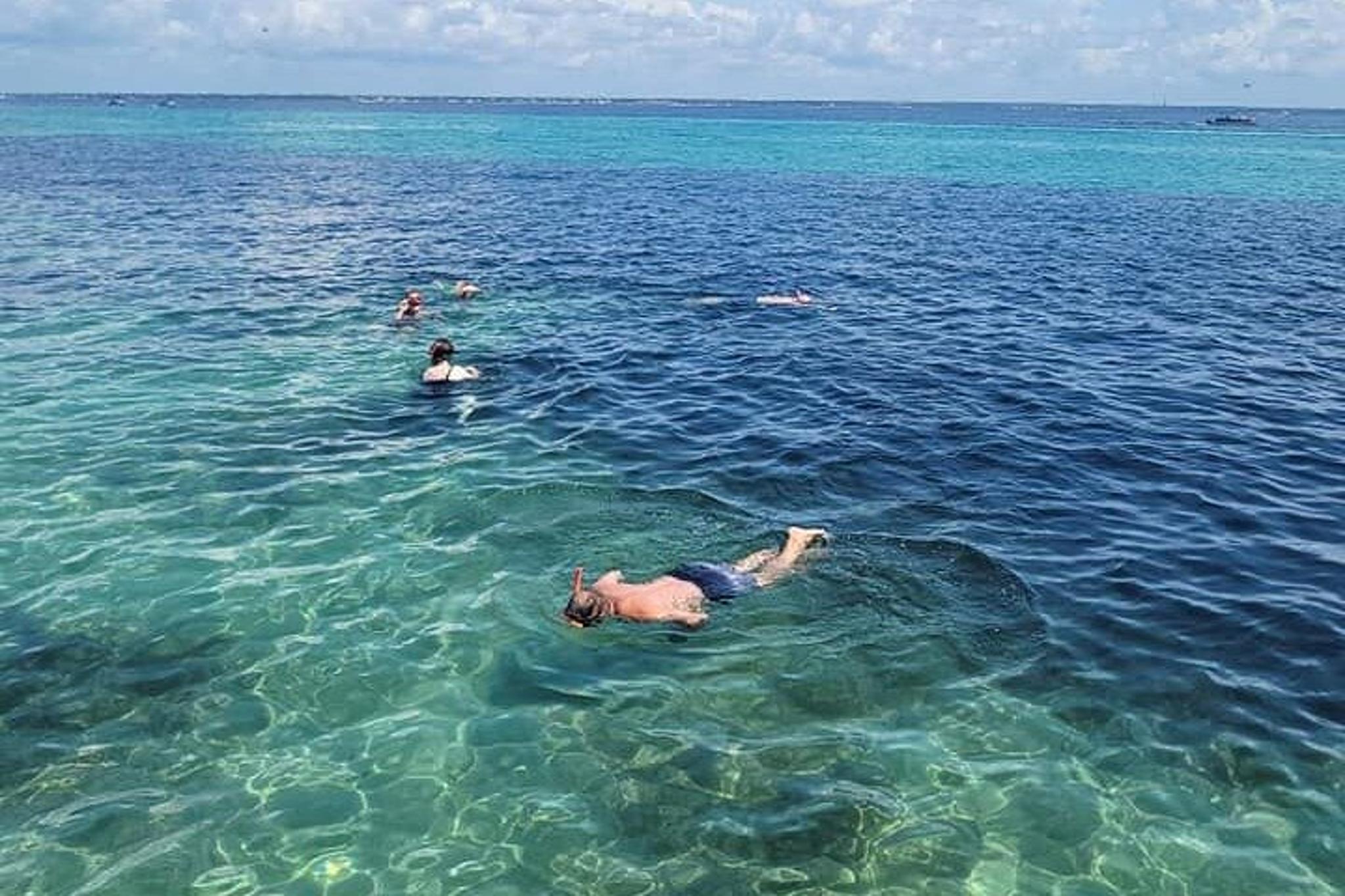 Fort Walton Beach Snorkeling and Dolphin Tour - Image 5