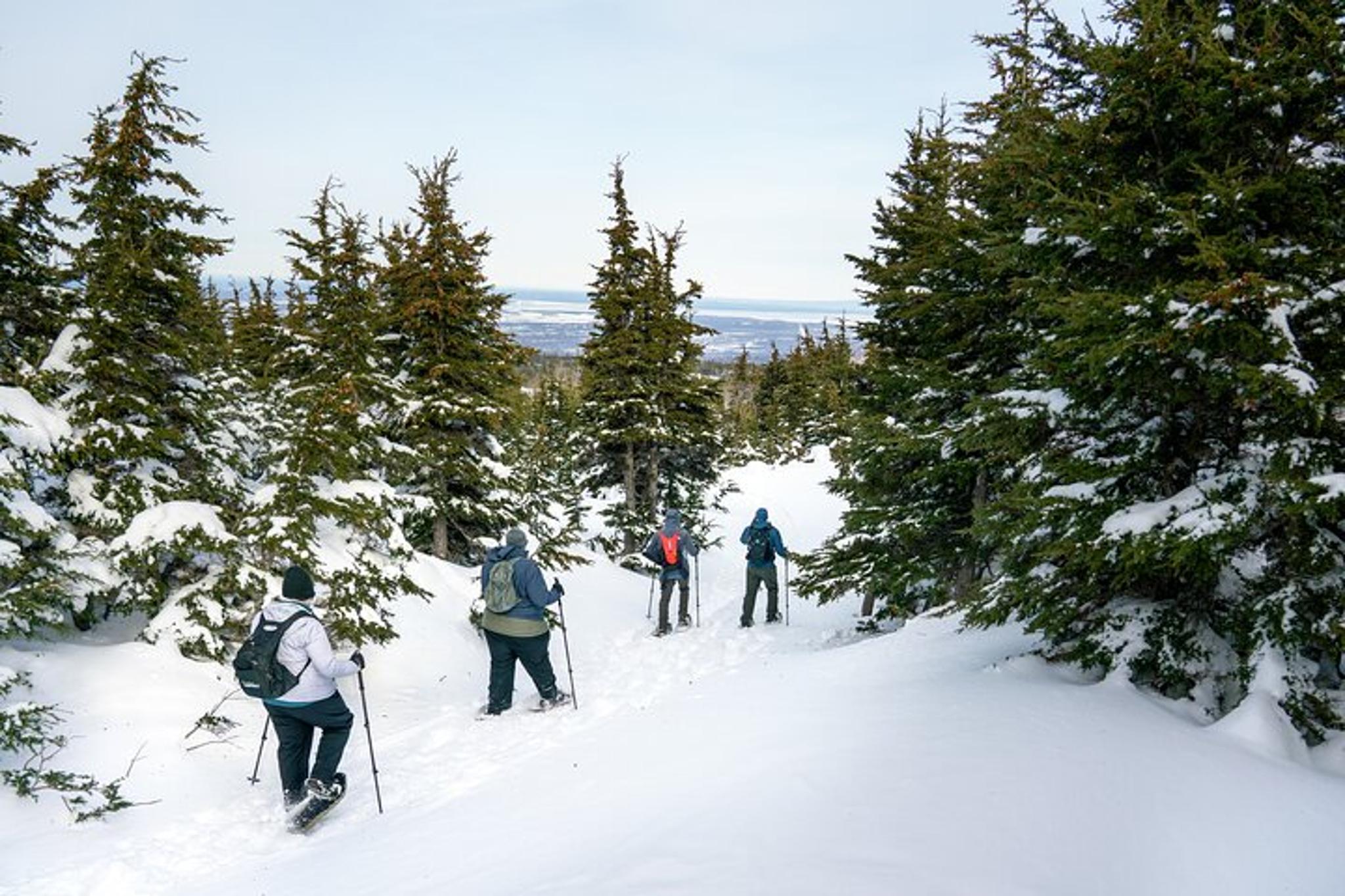 Anchorage Snowshoeing Adventure