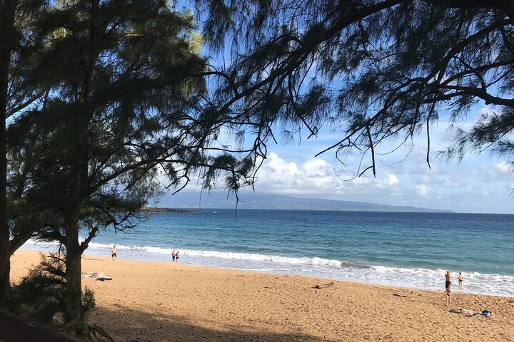 Maui Private Tour