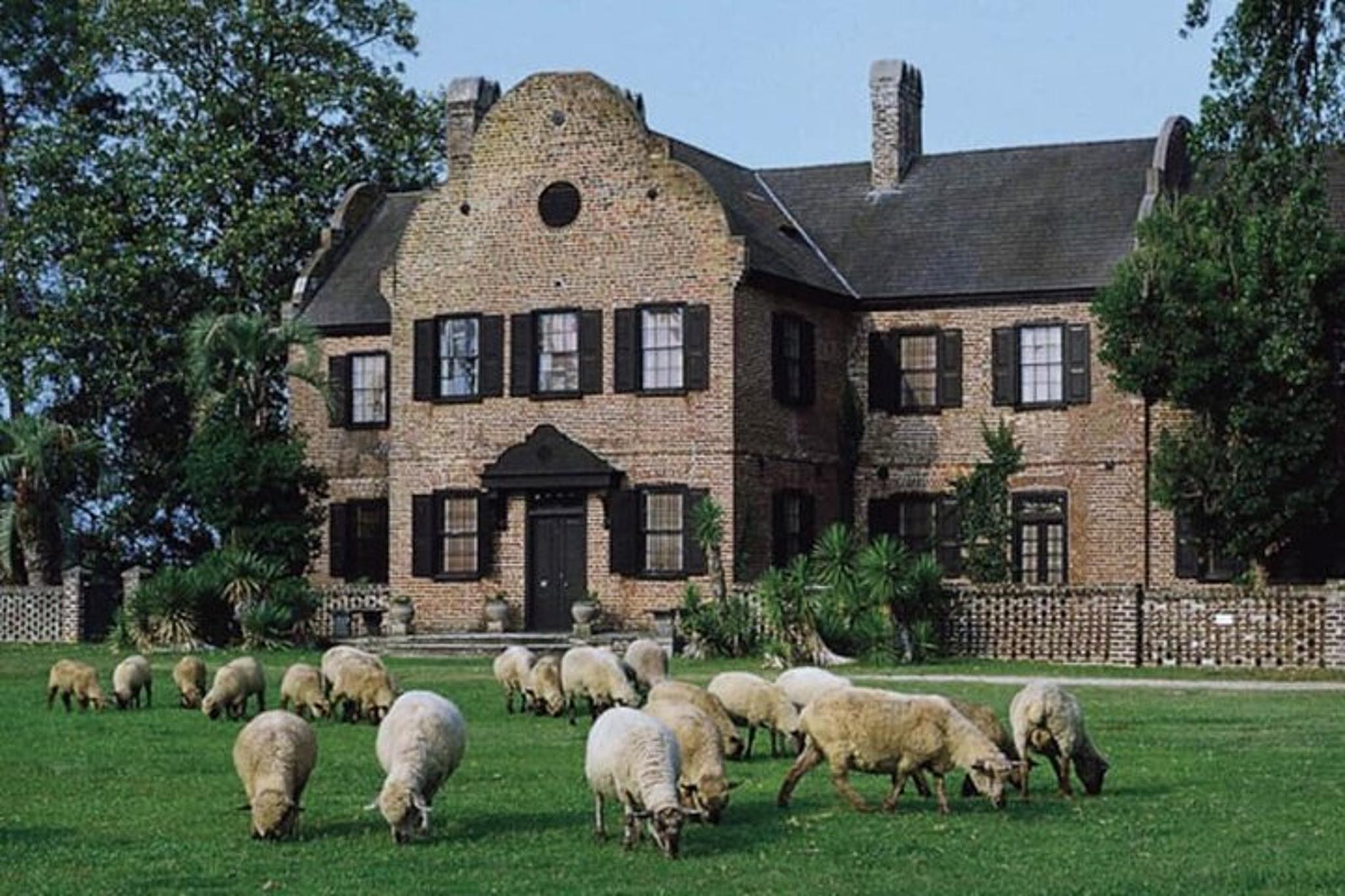 Charleston Plantation Tour with Chauffeur - Image 2