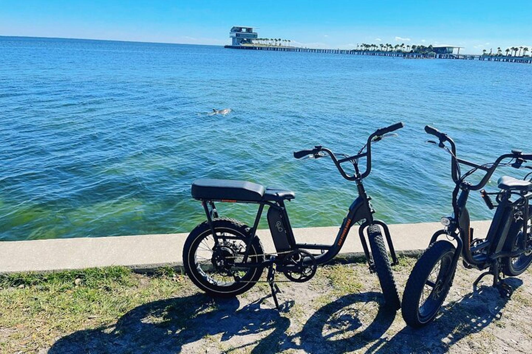 Saint Petersburg Electric Bike Rental - Image 2