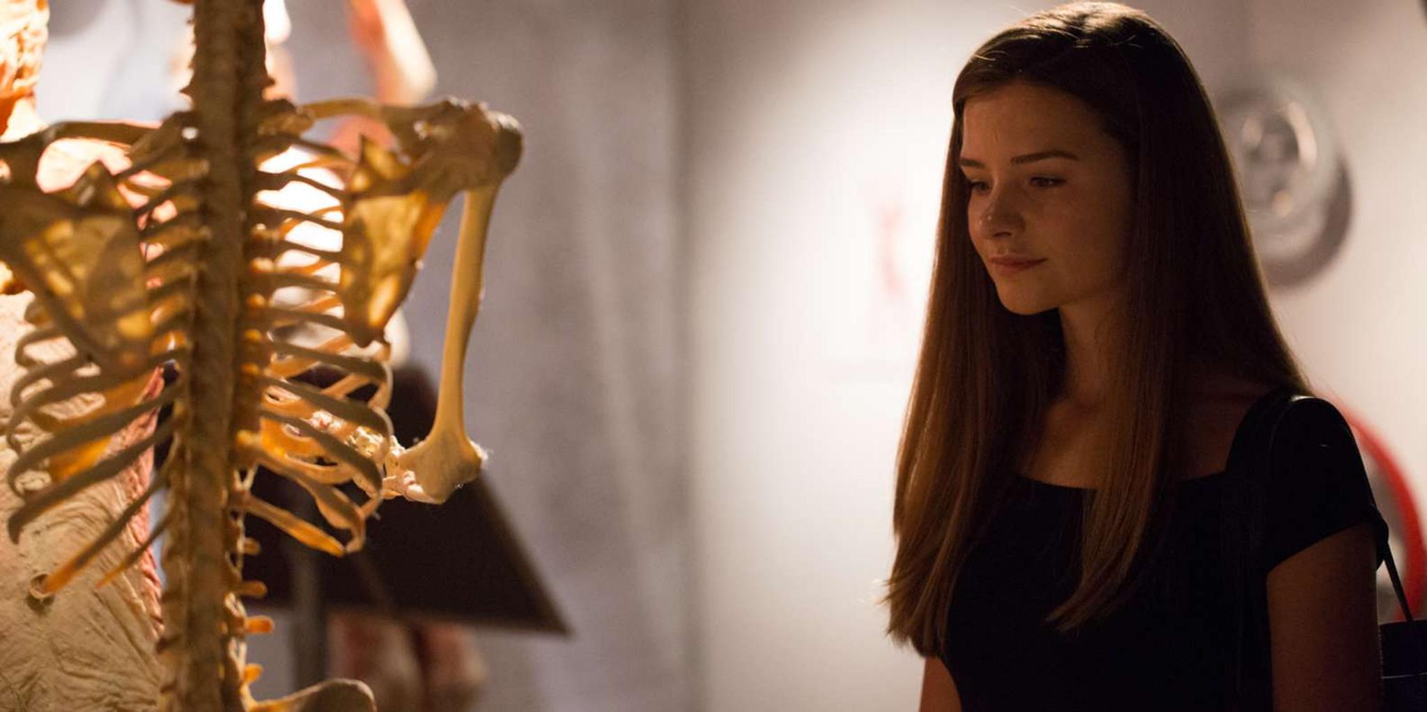 Las Vegas REAL BODIES Exhibit Entry Ticket