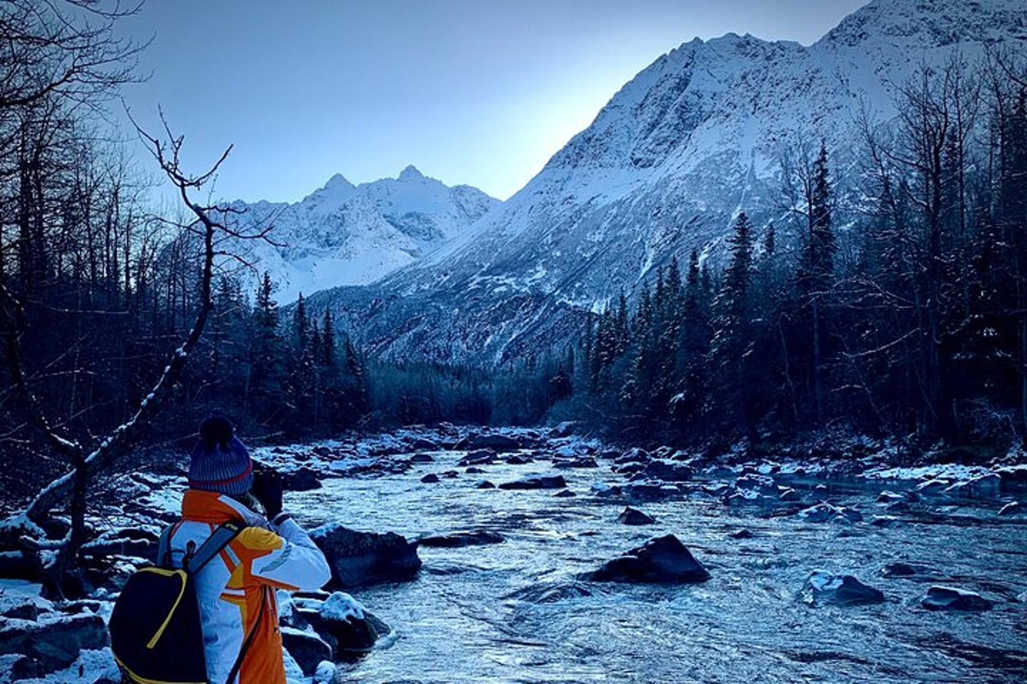 Anchorage Winter Valley and Forest Hike - Image 6