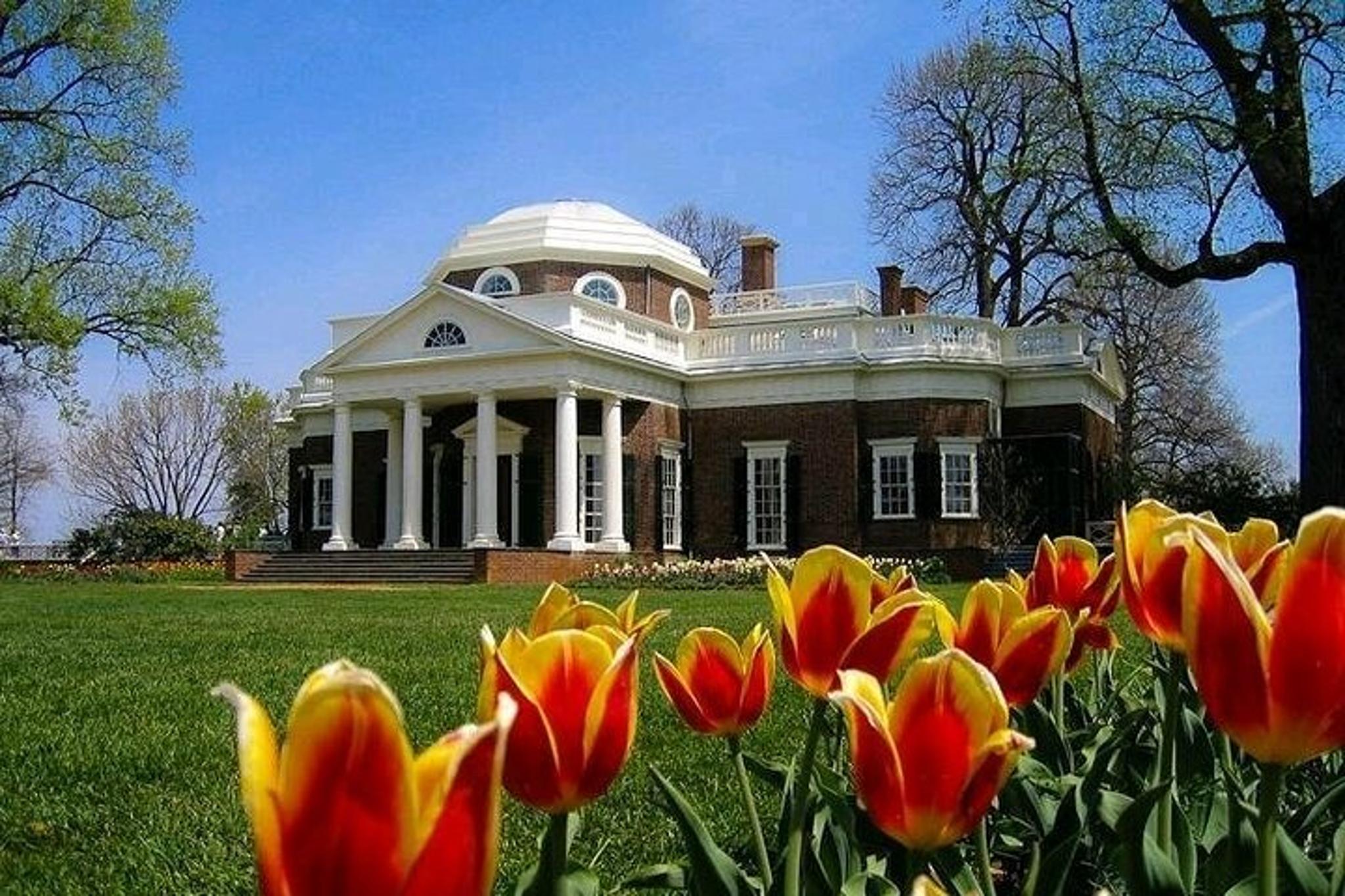 Charlottesville Historic Tour - Image 6