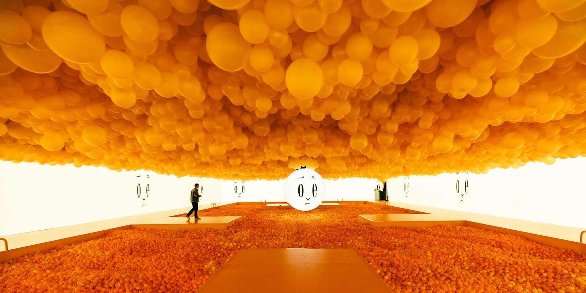 Chicago Balloon Museum Entry Tickets - Image 1