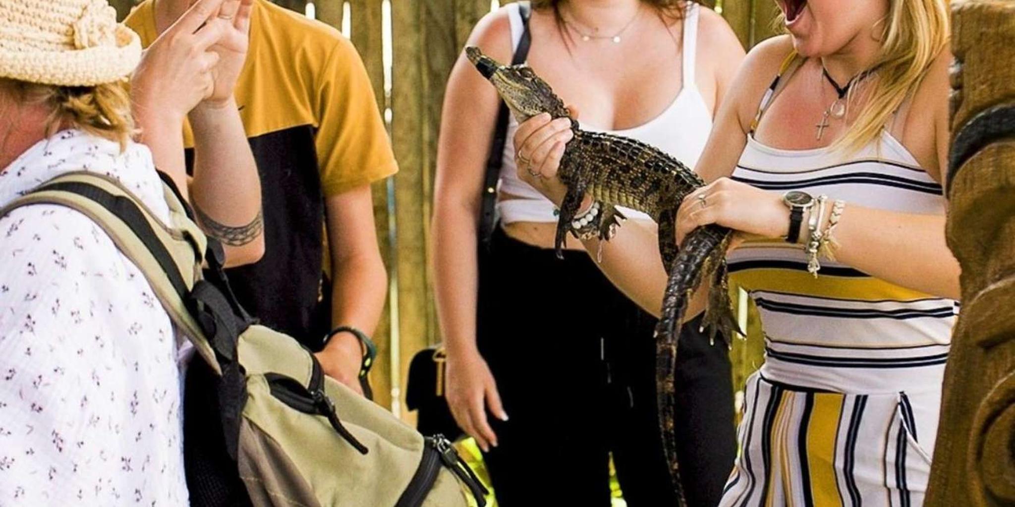 Homestead Everglades Alligator Farm Airboat Ride - Image 5