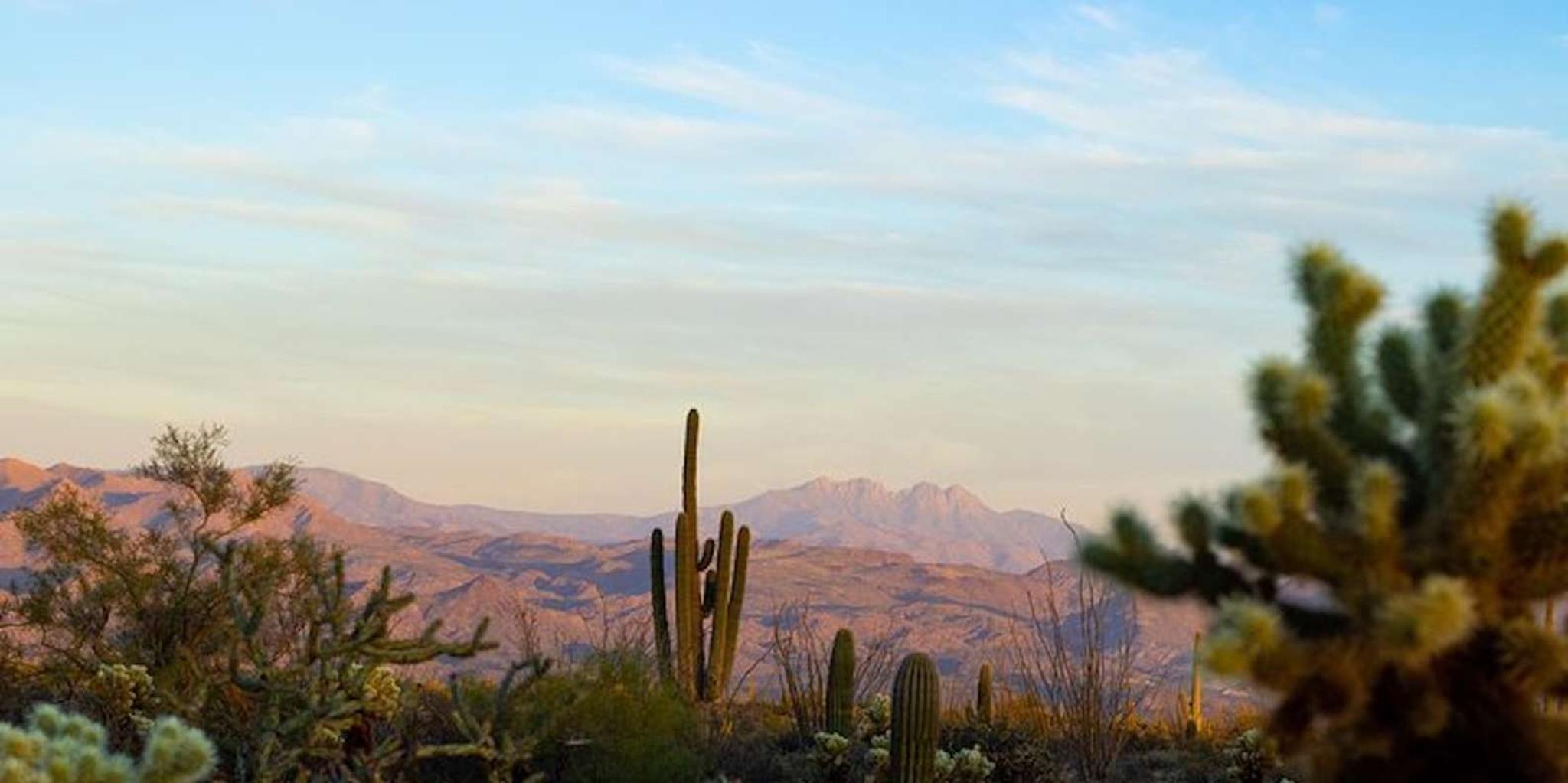 Scottsdale Desert Jeep Tour at Sunset - Image 2