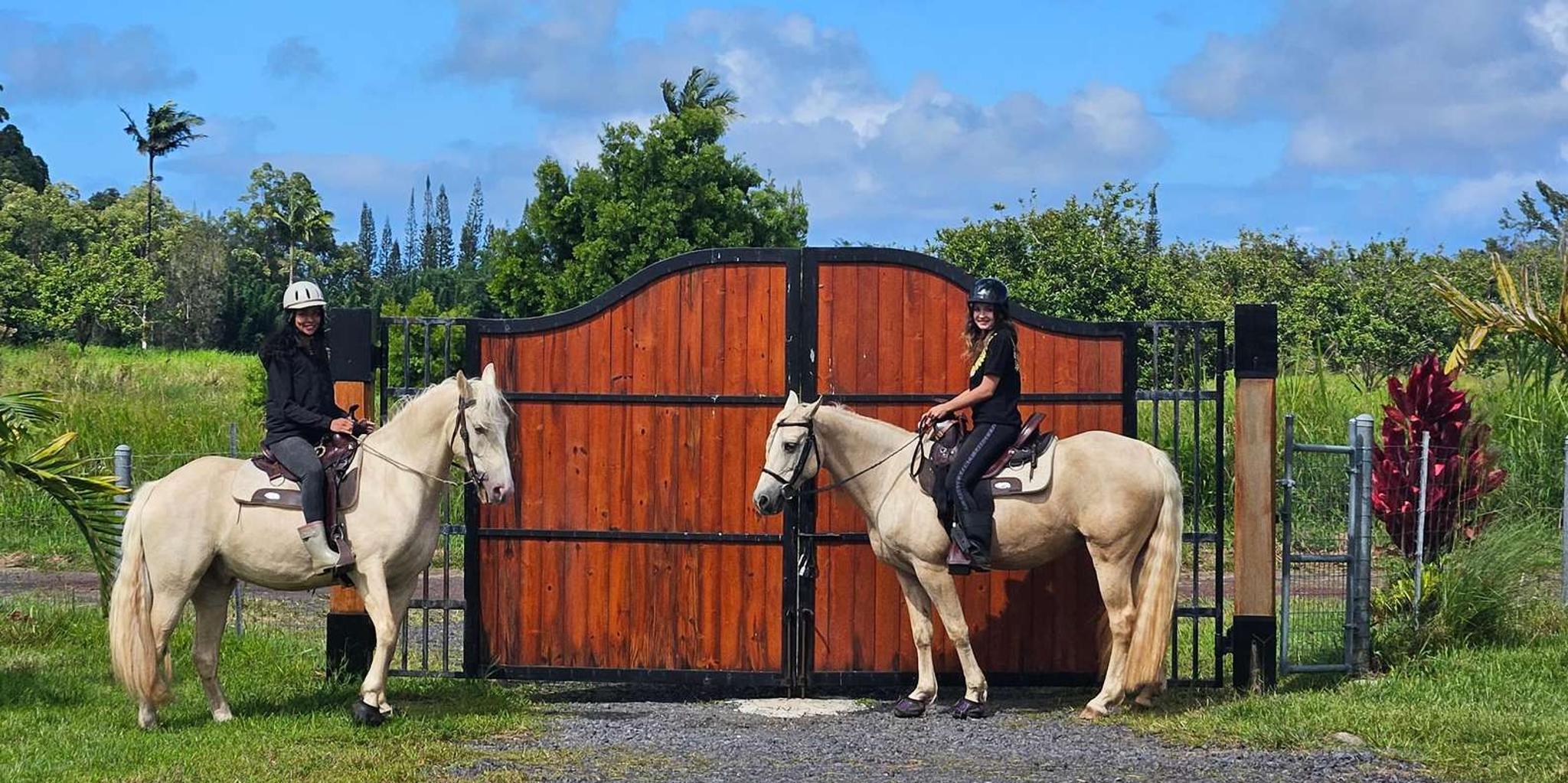 Pāhoa Rainforest Trail Ride - Image 2