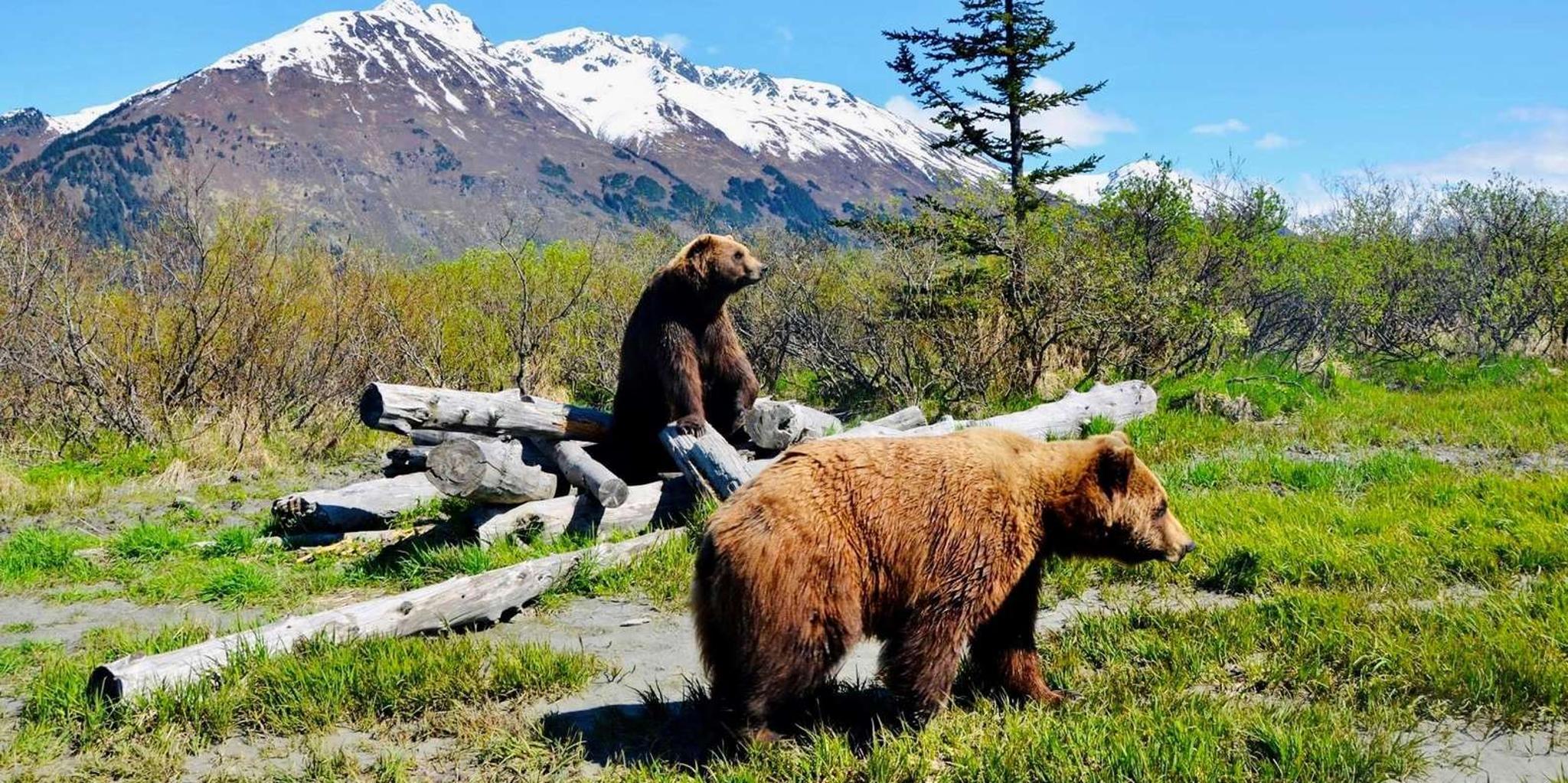 Anchorage Wildlife Conservation Center Admission