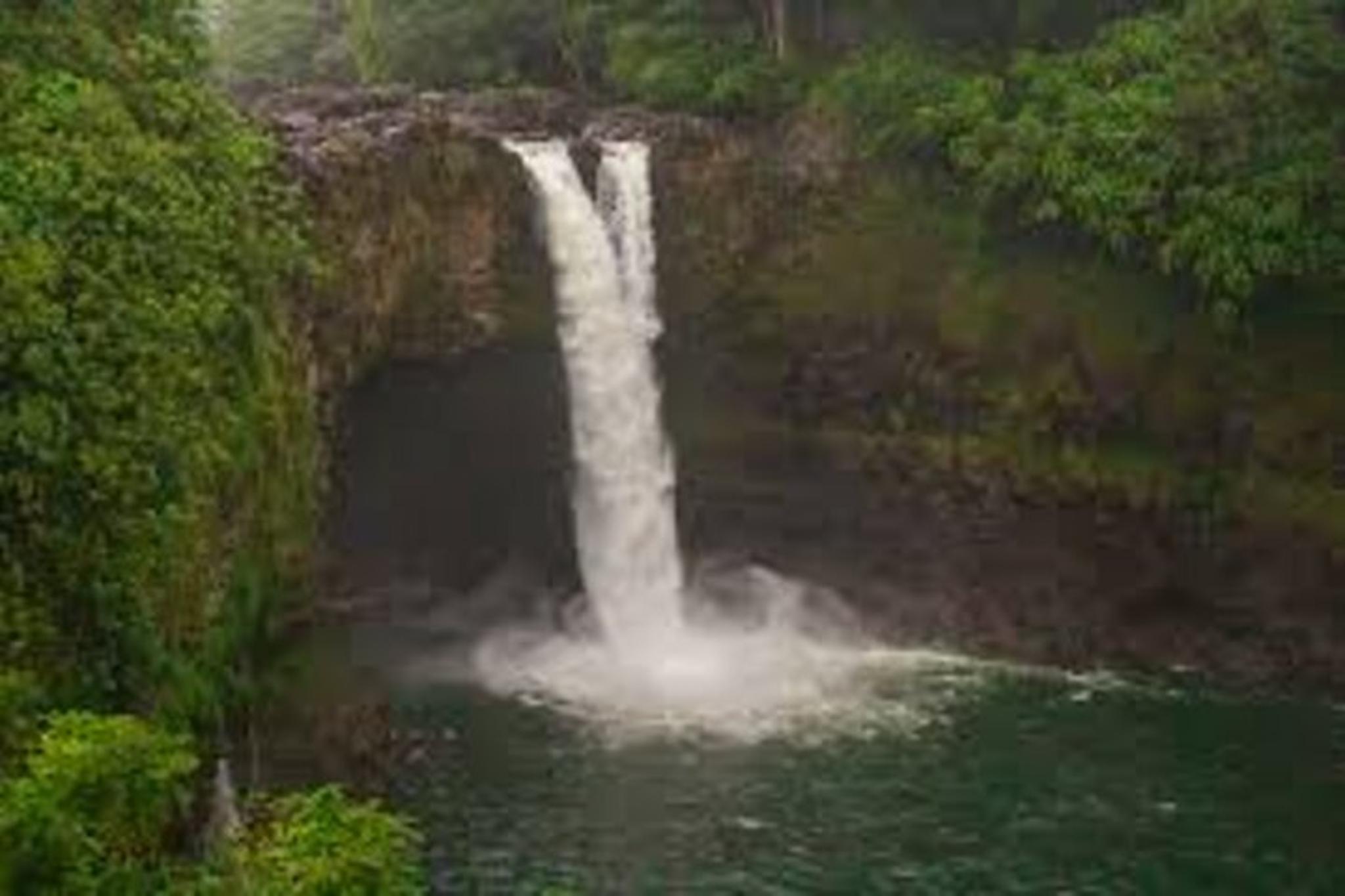 Hilo Private Shore Excursion and Waterfalls Tour - Image 4