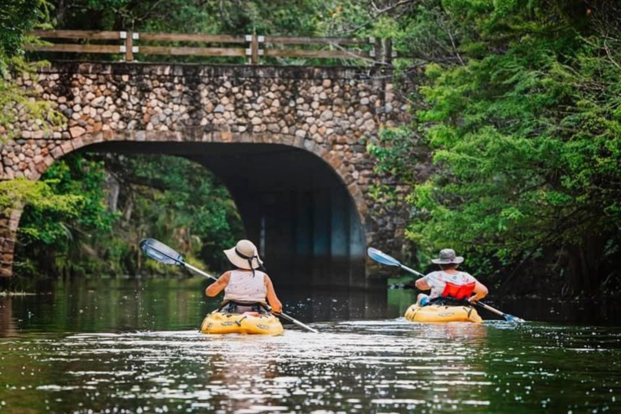 Loxahatchee River Guided Kayak Tour - Image 6