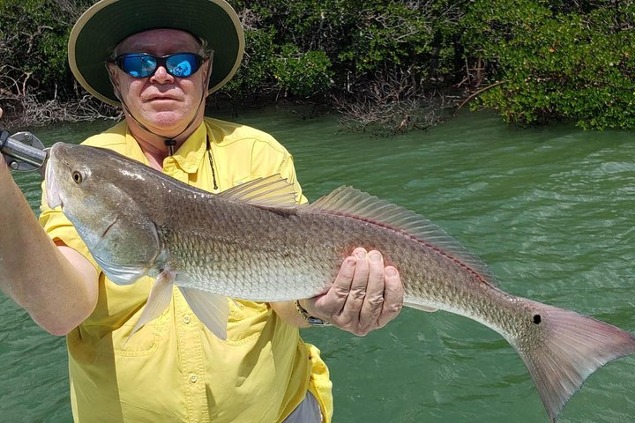 Naples Charter Fishing Afternoon 4 hr