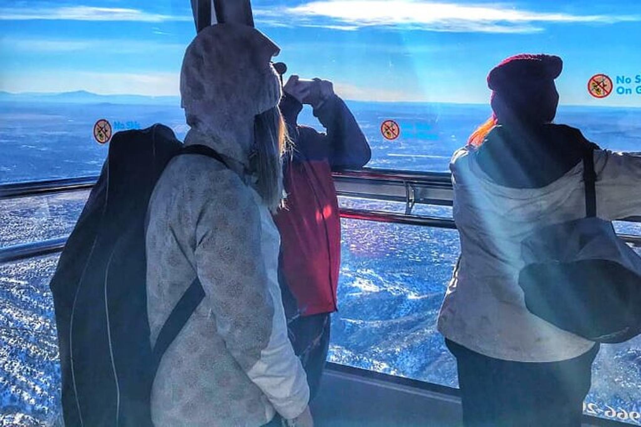 Albuquerque Snowshoe Experience at Sandia Peak - Image 3