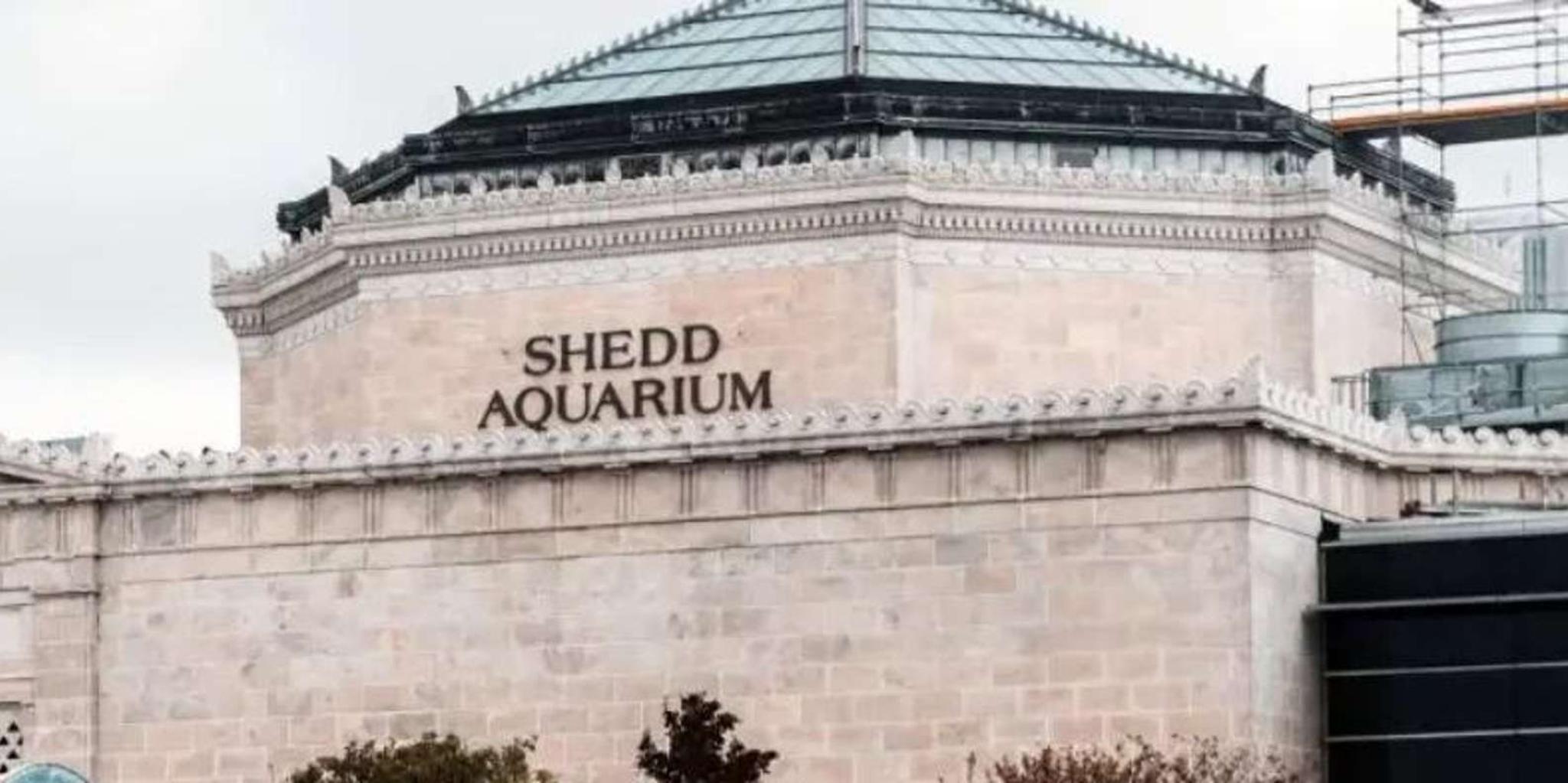 Chicago Water Taxi Day Pass - Image 3