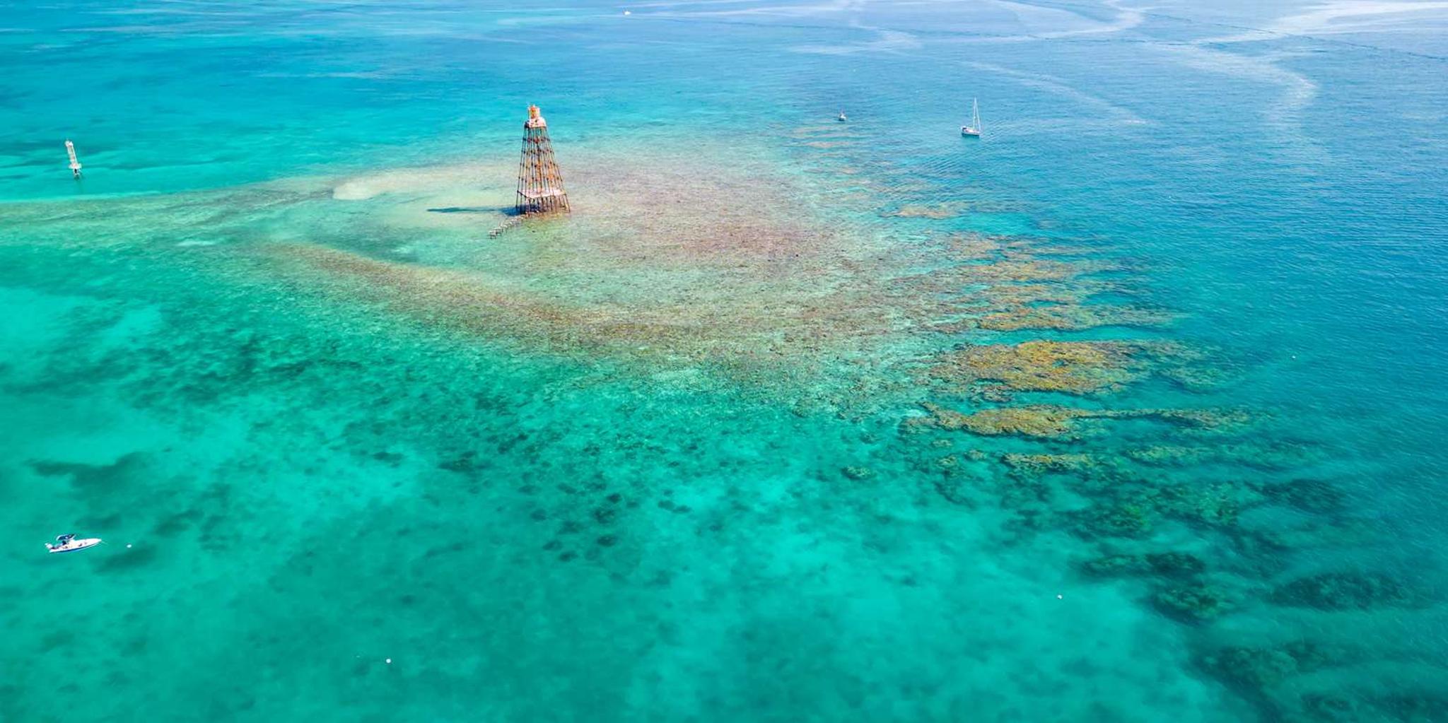 Key West Reef Snorkel Tour with Breakfast & Mimosas - Image 3