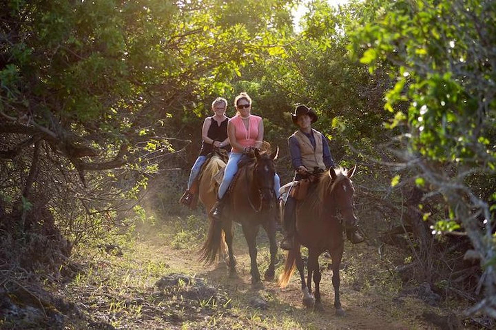 Oahu Sunset Horseback Ride - Image 5