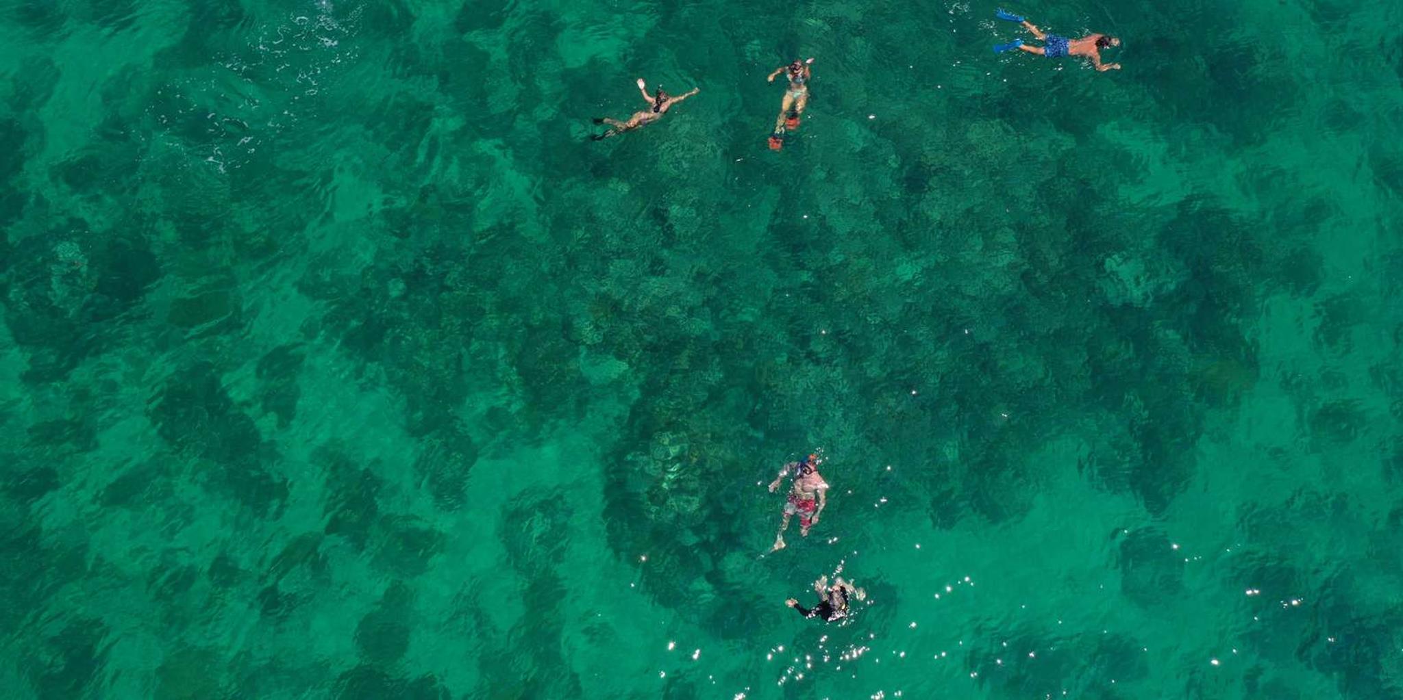 Key West Sail, Snorkel, and Kayak Sunset Tour - Image 6