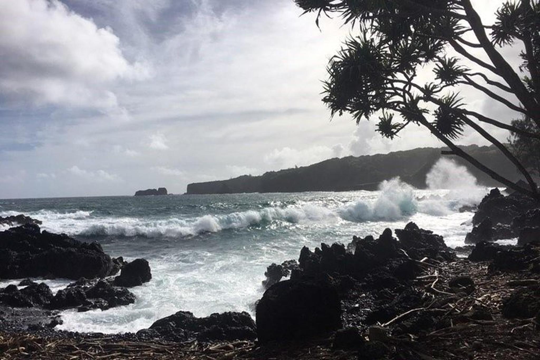 Maui Road to Hana Day Trip from Lahaina - Image 3