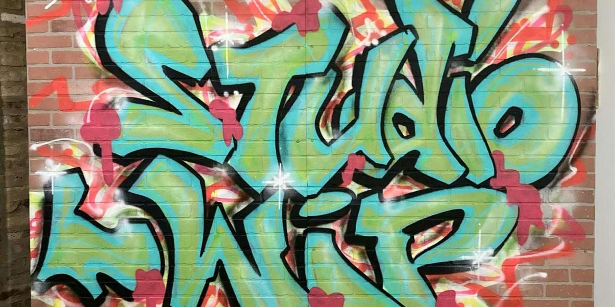 Chicago Street Art Tour in West Town 1.5 hr - Image 2