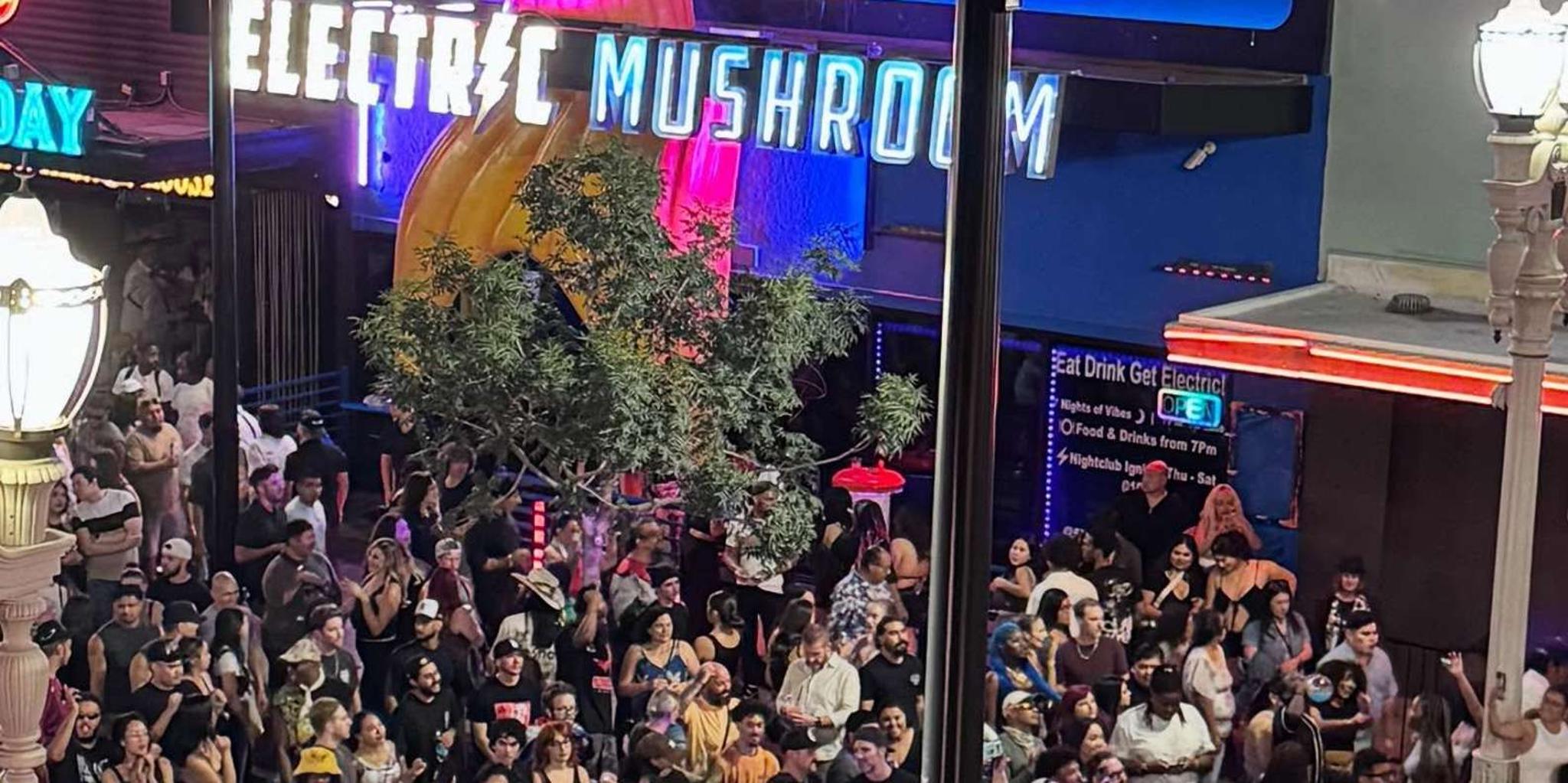 Las Vegas Nightclub VIP Entry with Cocktail - Image 4