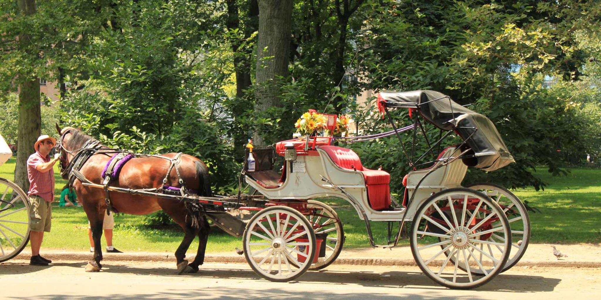 New York City Central Park Horse Carriage Ride - Image 4