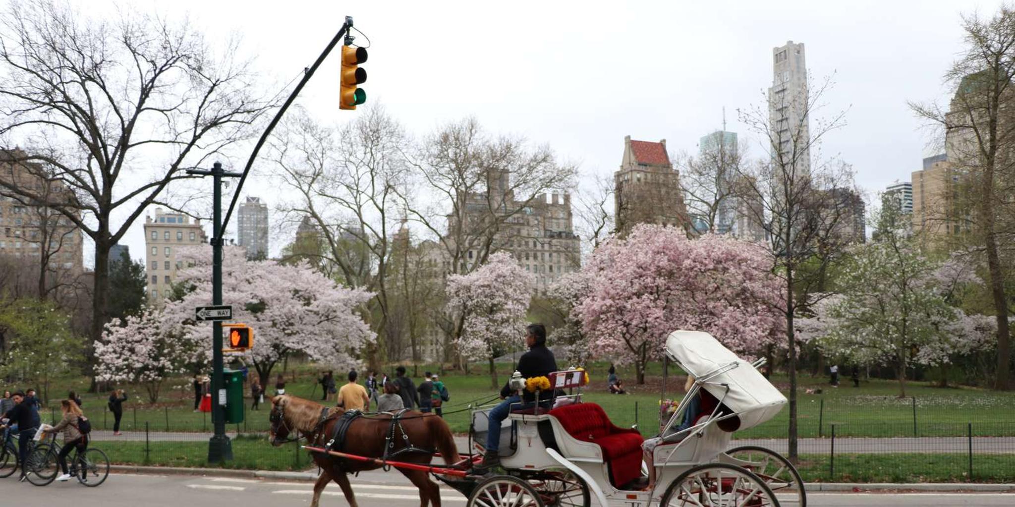 New York Horse Carriage Ride with Tavern on the Green - Image 1