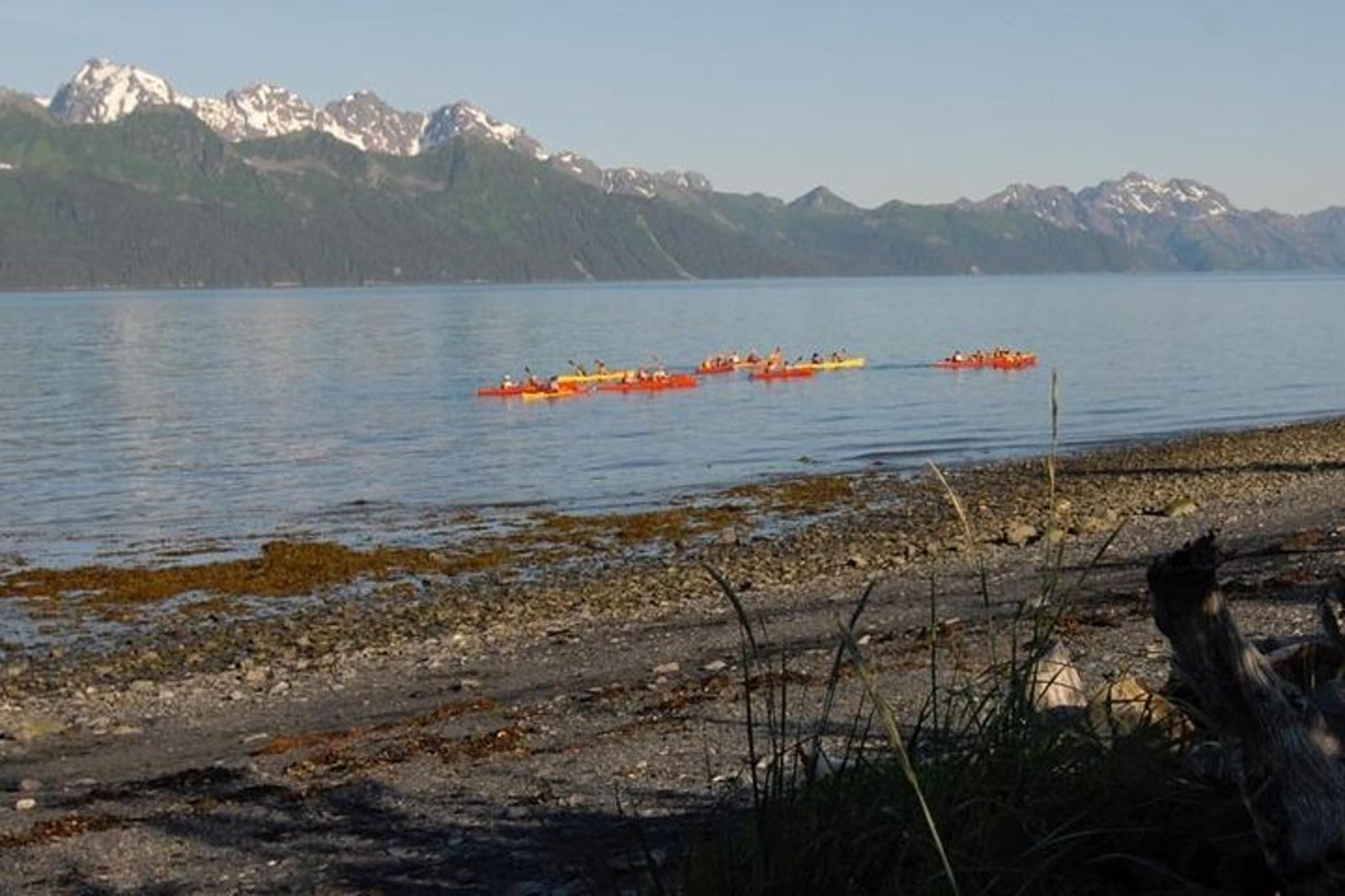 Seward Kayaking Adventure in Resurrection Bay - Image 5