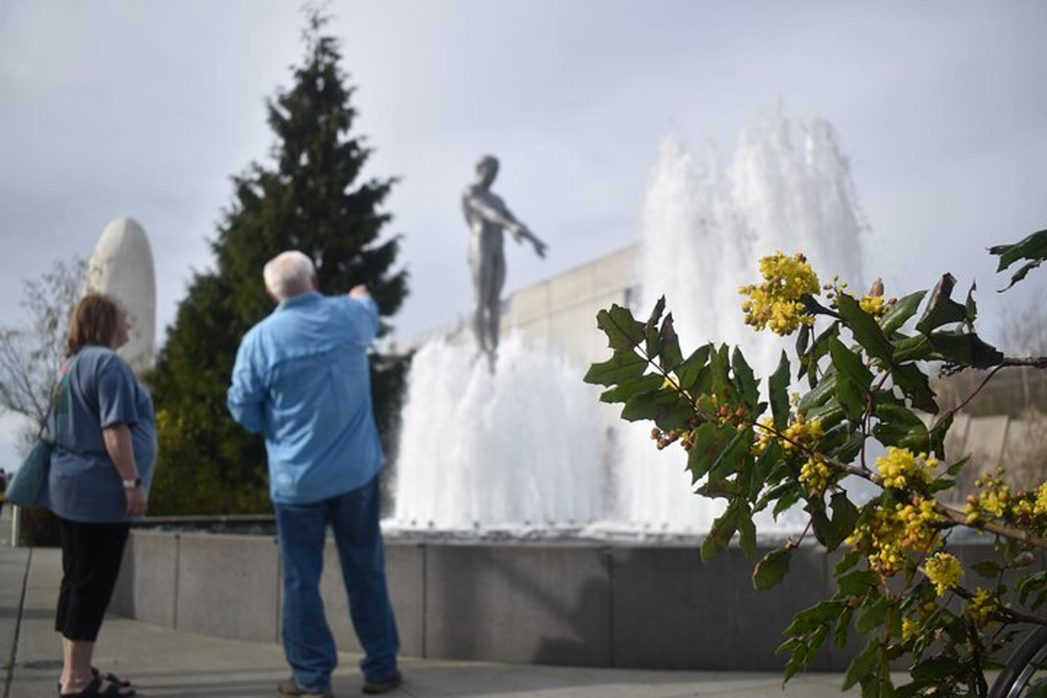 Seattle City and Washington State Landscapes Tour - Image 6