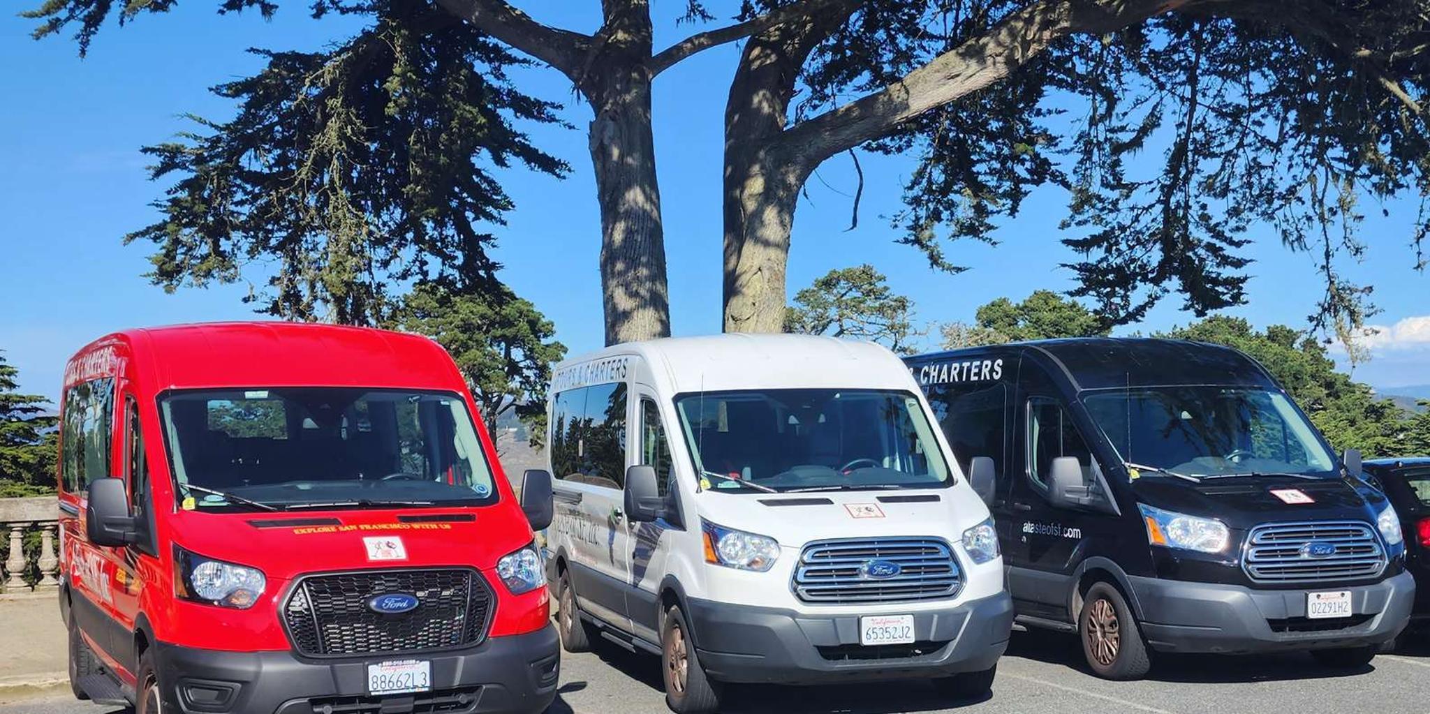 San Francisco City Tour Half-Day - Image 6