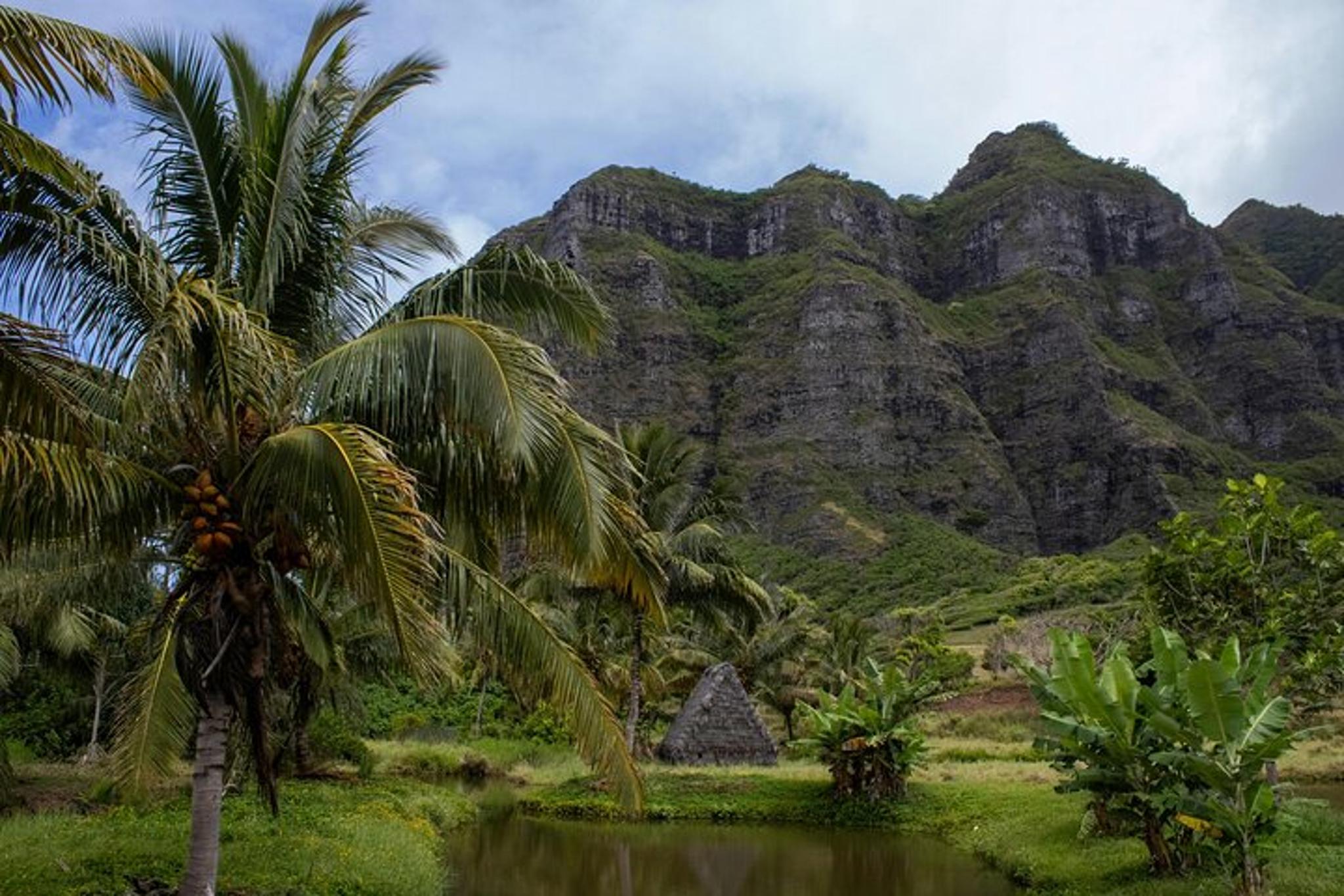 Oahu Private Figure 8 Adventure - Image 4