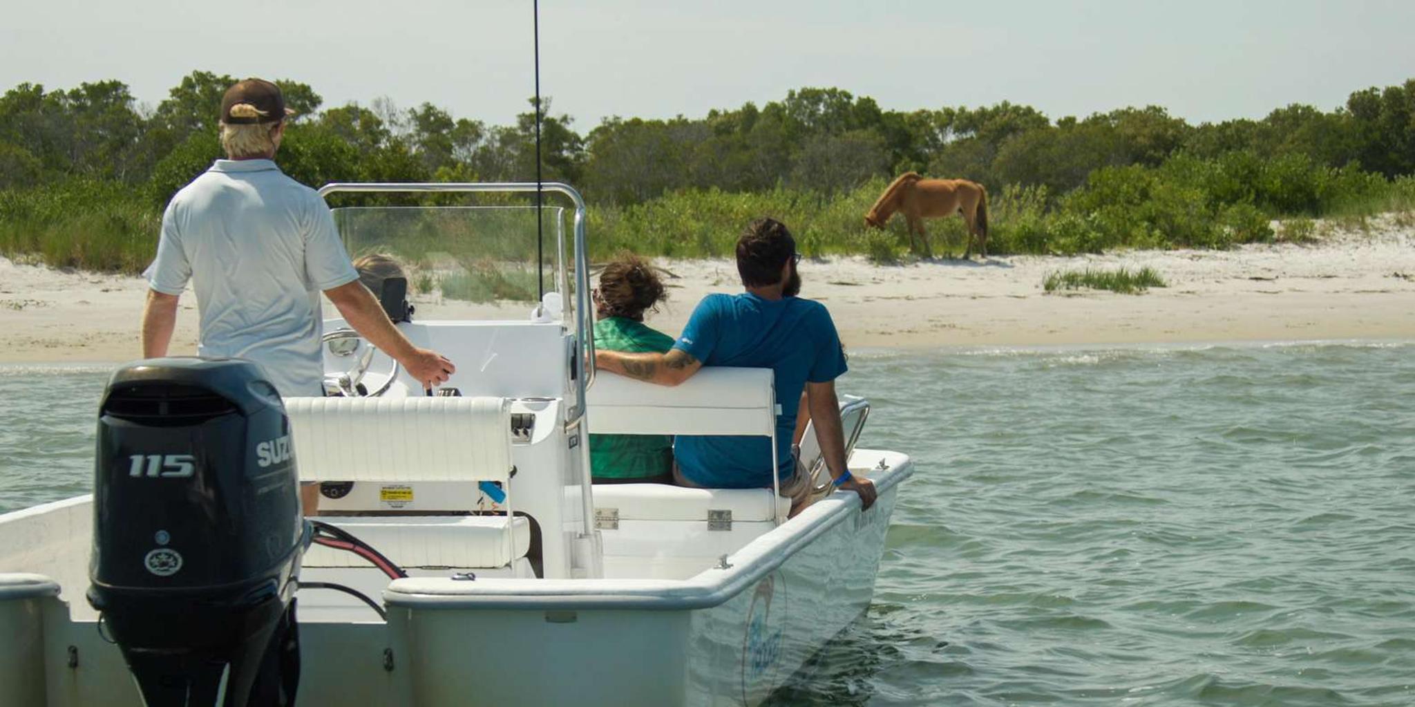 Ocean City Assateague Island Cruise - Image 2