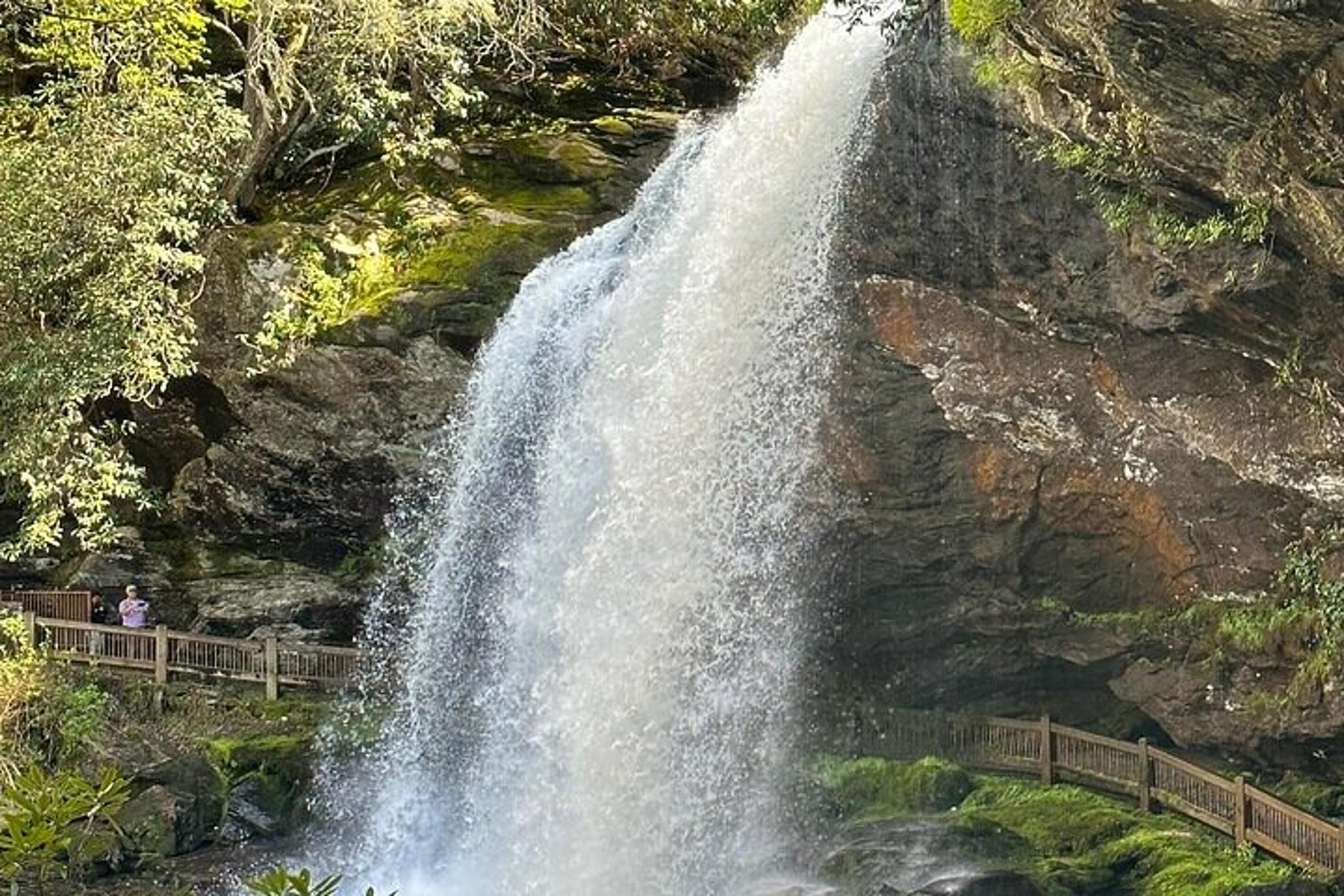 Asheville Rainforest and Waterfall Tour