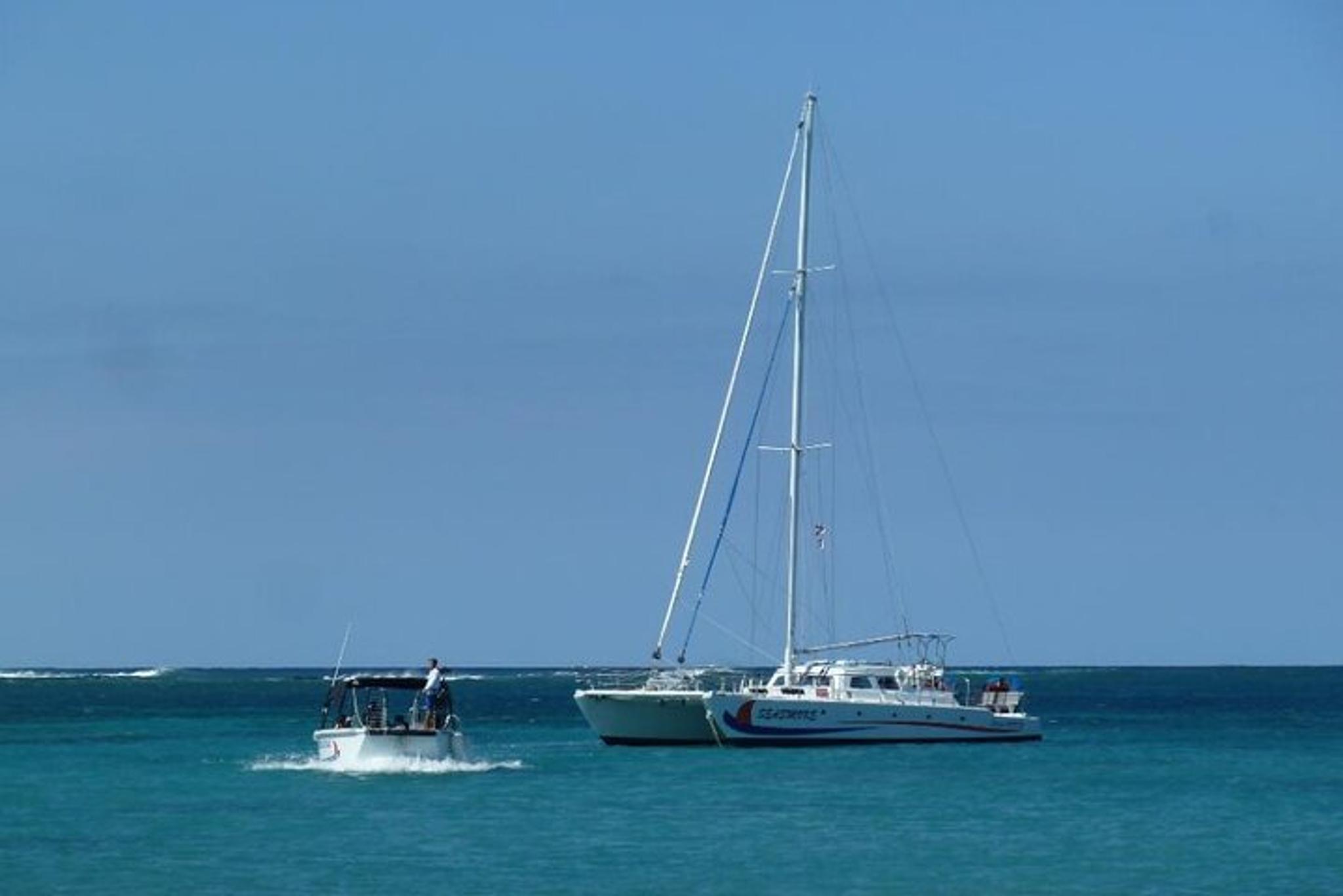 Waikoloa Whale Watching Cruise - Image 6