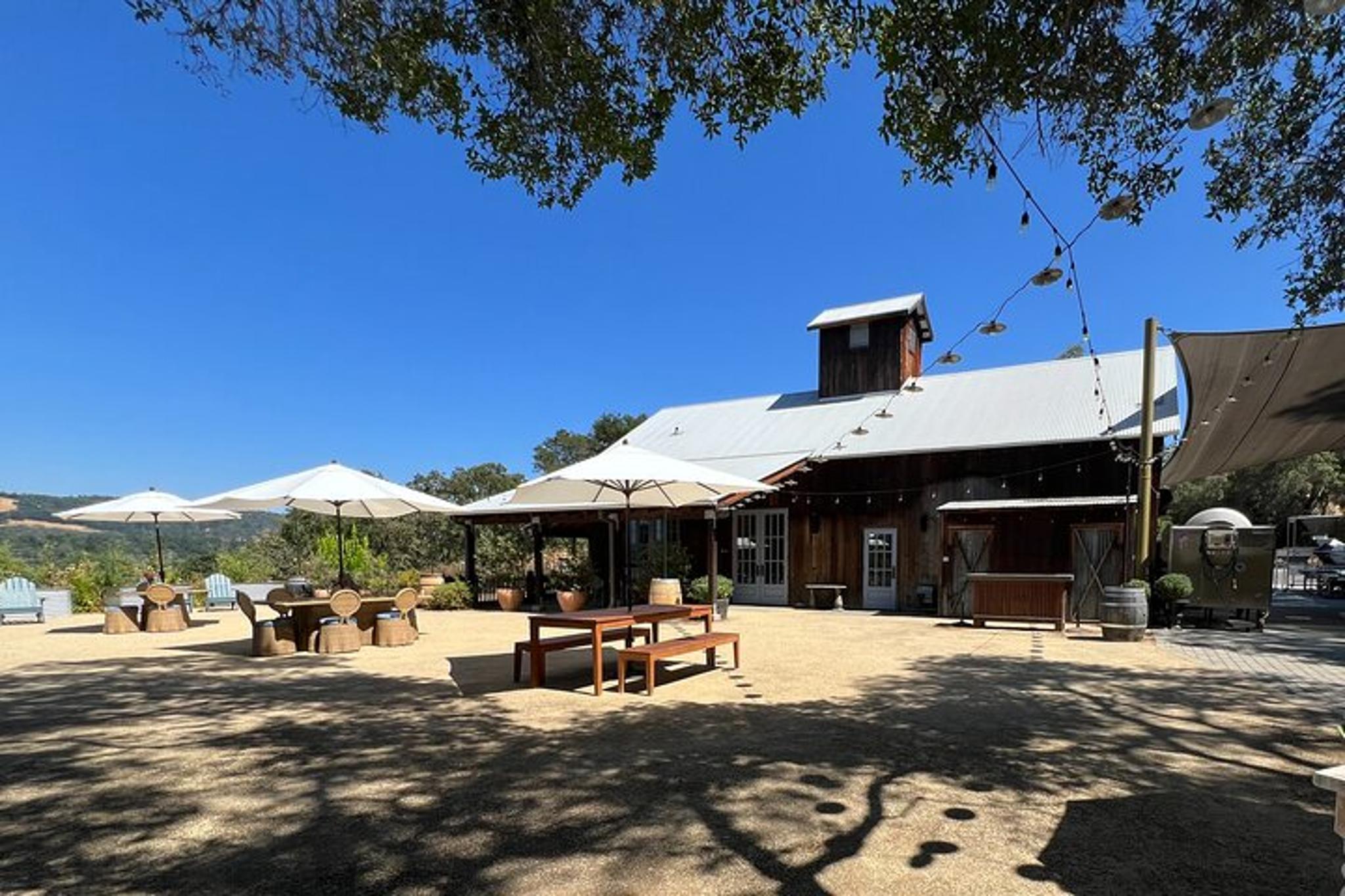 Napa Valley Food and Wine Pairing with Redwoods Exploration - Image 4